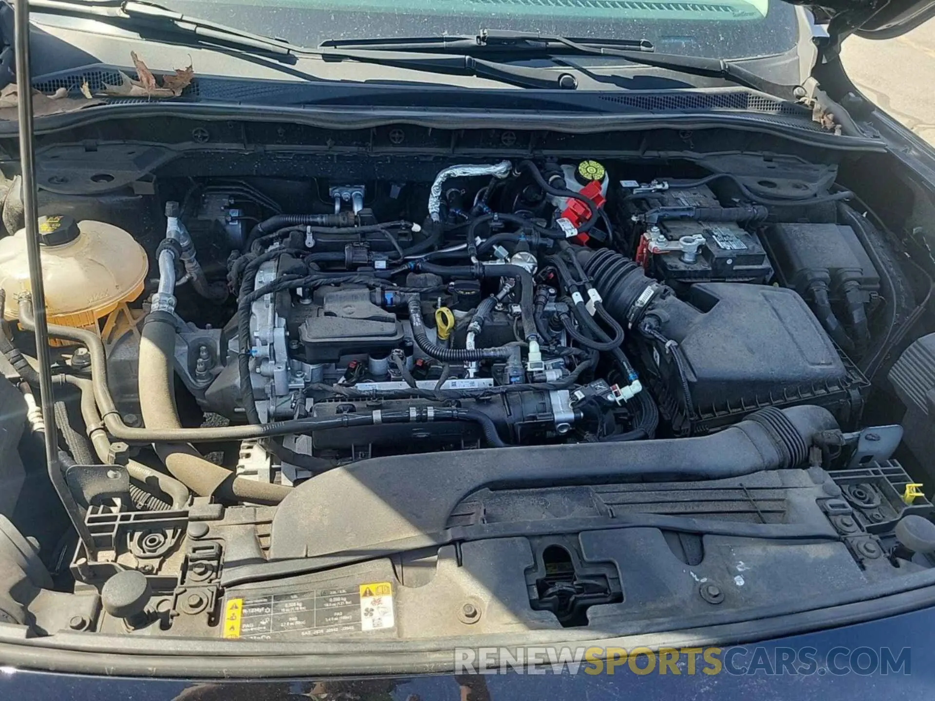 49 fotografías del automóvil dañado 1FMCU0F68MUA99044 FORD ESCAPE 2021