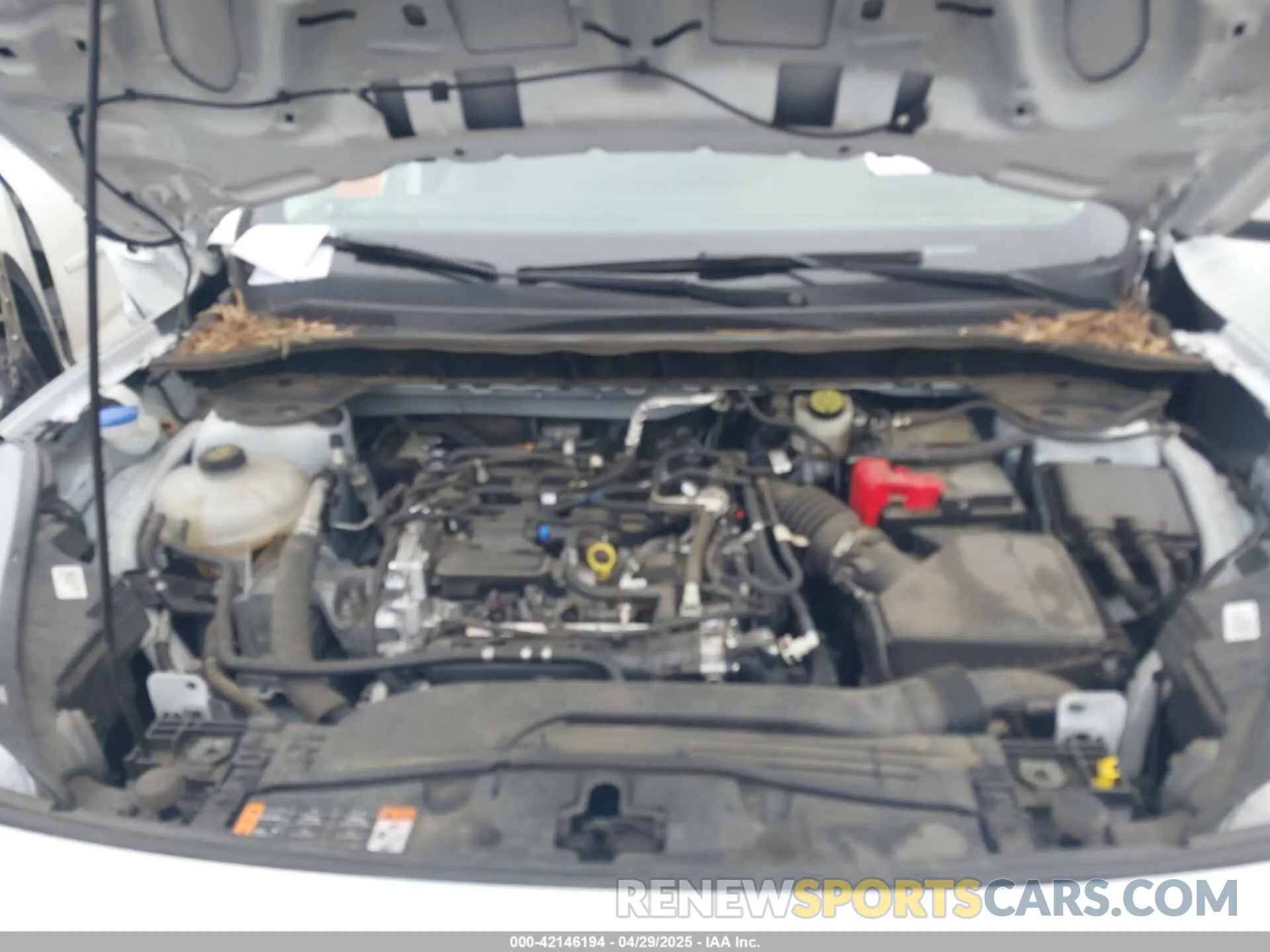 10 fotografías del automóvil dañado 1FMCU0G60MUB10259 FORD ESCAPE 2021