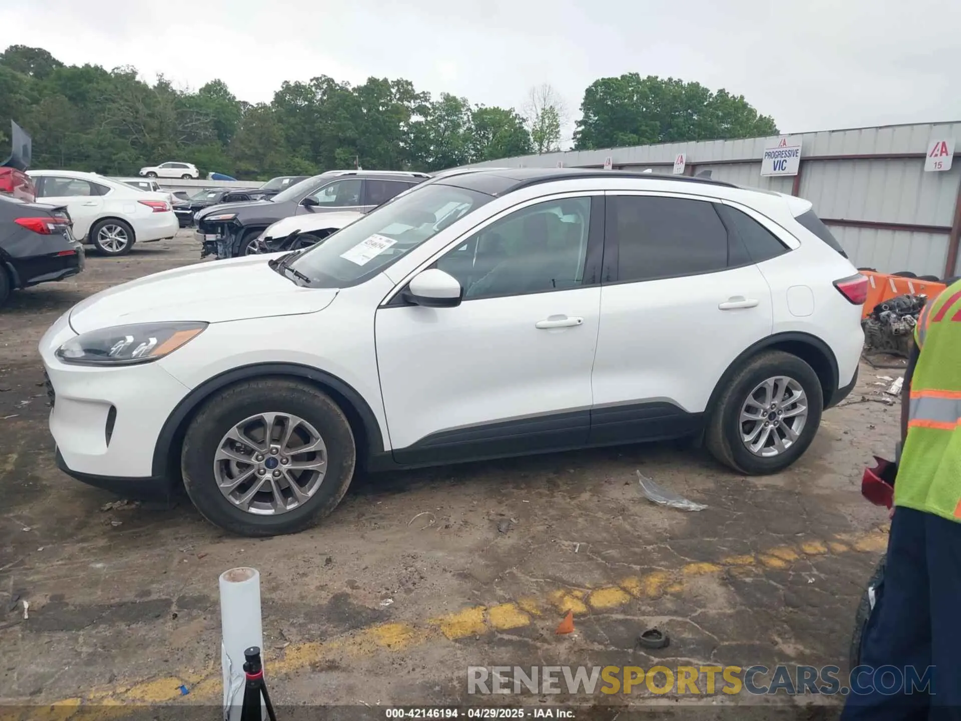 14 fotografías del automóvil dañado 1FMCU0G60MUB10259 FORD ESCAPE 2021