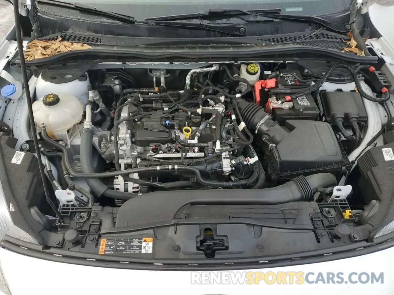 12 fotografías del automóvil dañado 1FMCU0G62MUA58519 FORD ESCAPE 2021