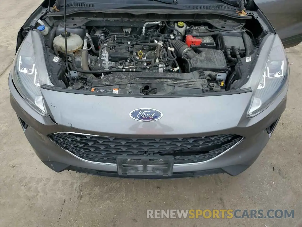 12 fotografías del automóvil dañado 1FMCU0G65MUB28272 FORD ESCAPE 2021