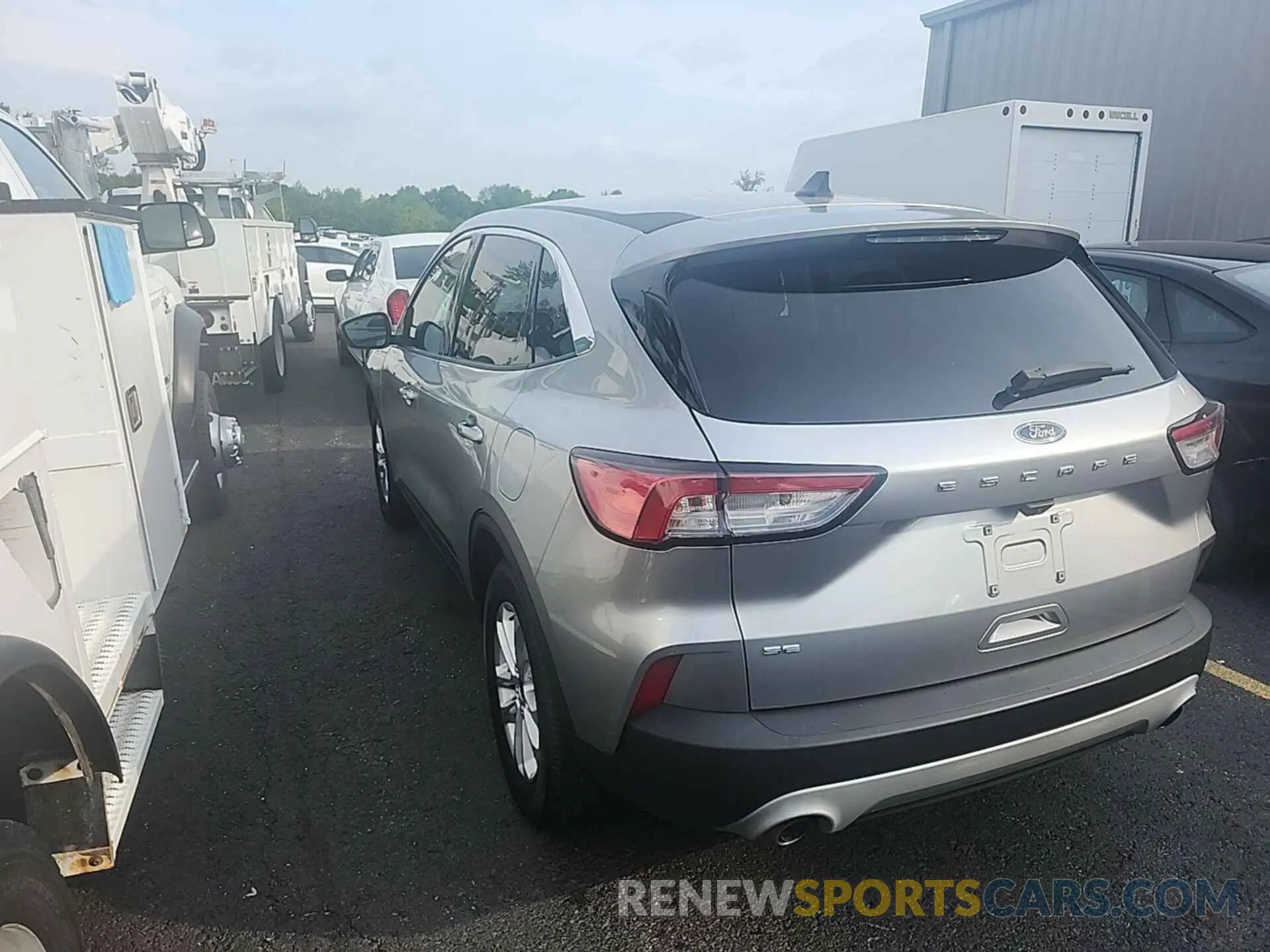 8 fotografías del automóvil dañado 1FMCU0G66MUA03118 FORD ESCAPE 2021