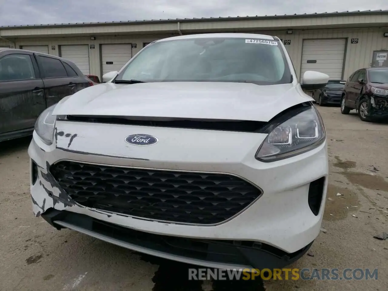 5 fotografías del automóvil dañado 1FMCU0G66MUB28961 FORD ESCAPE 2021