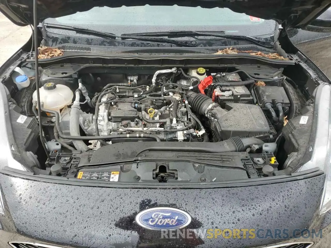 14 fotografías del automóvil dañado 1FMCU0H60MUA09527 FORD ESCAPE 2021