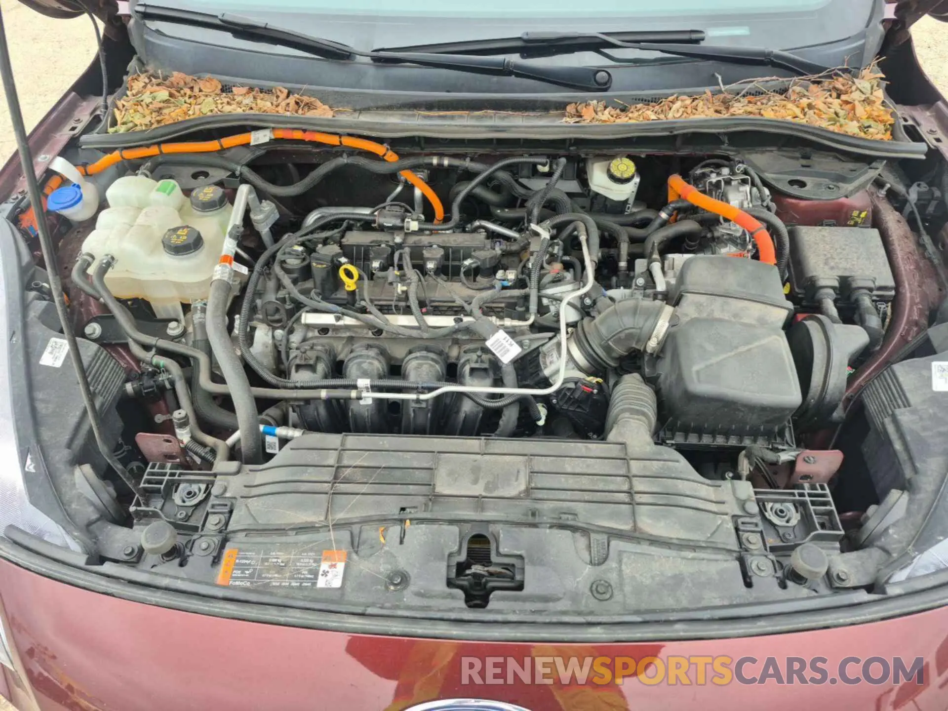 11 fotografías del automóvil dañado 1FMCU9BZ1MUA53074 FORD ESCAPE 2021