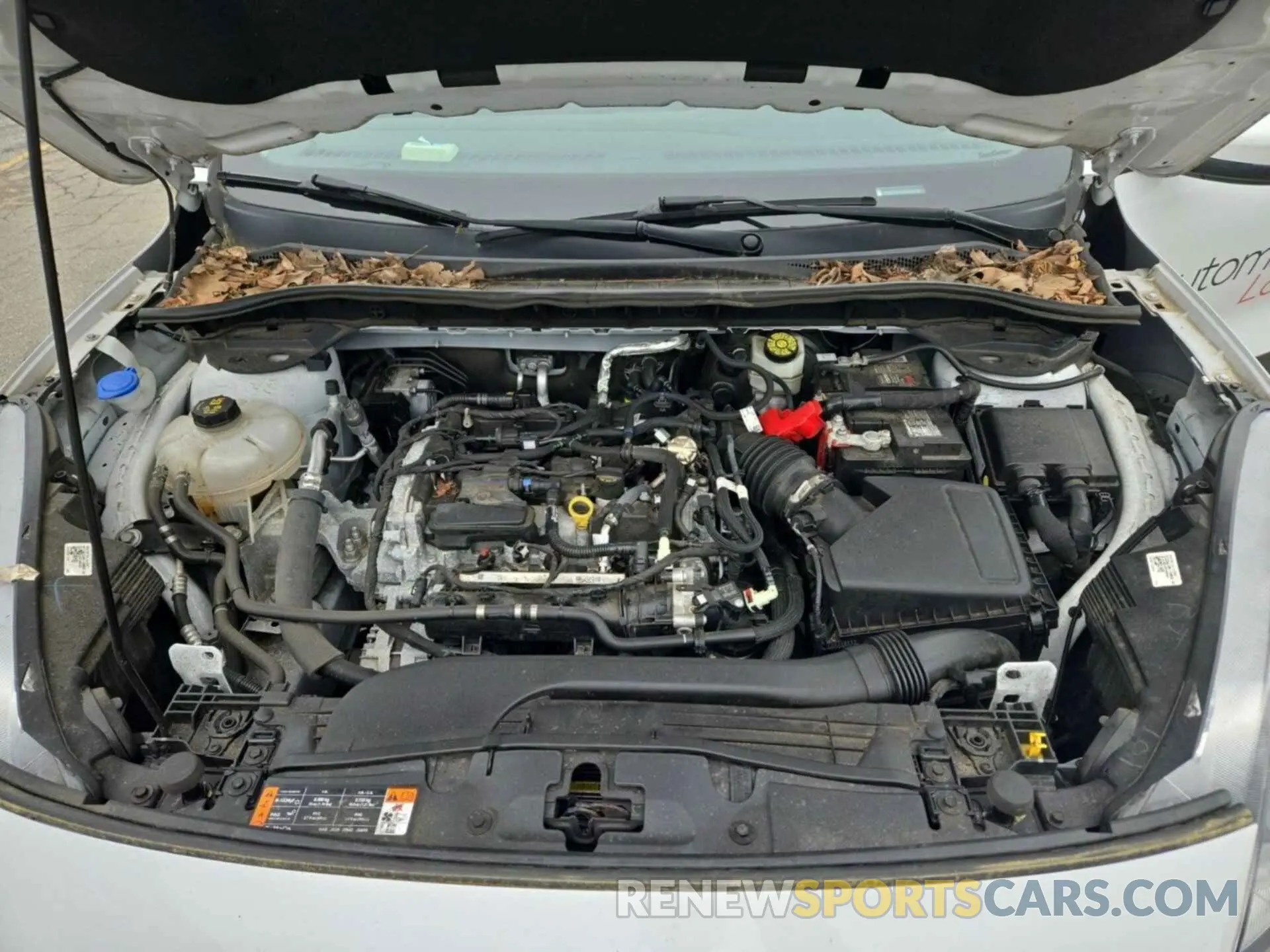 24 fotografías del automóvil dañado 1FMCU9G61MUA52585 FORD ESCAPE 2021