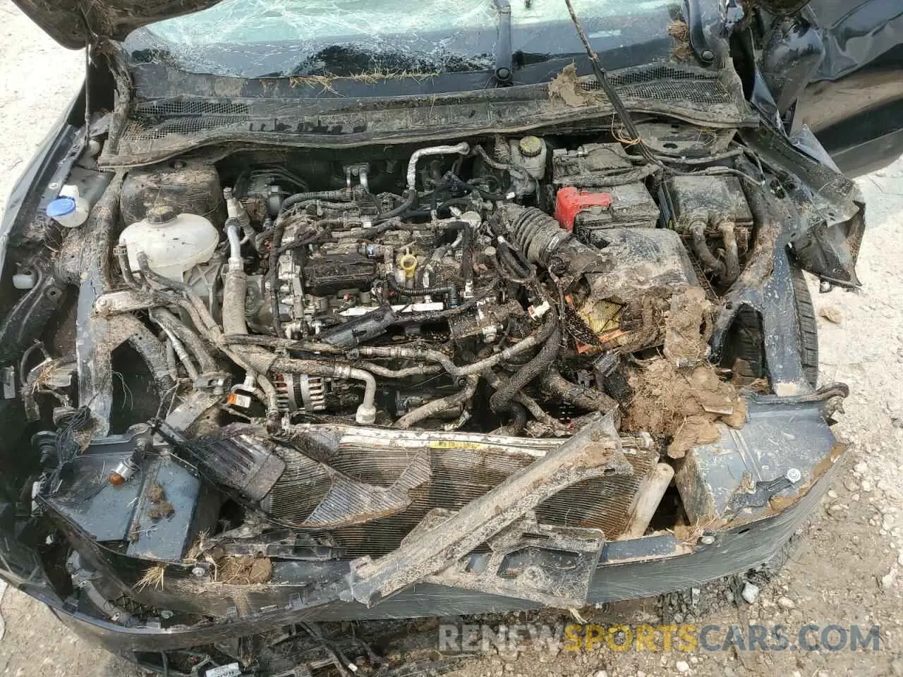12 fotografías del automóvil dañado 1FMCU9G69MUA25912 FORD ESCAPE 2021