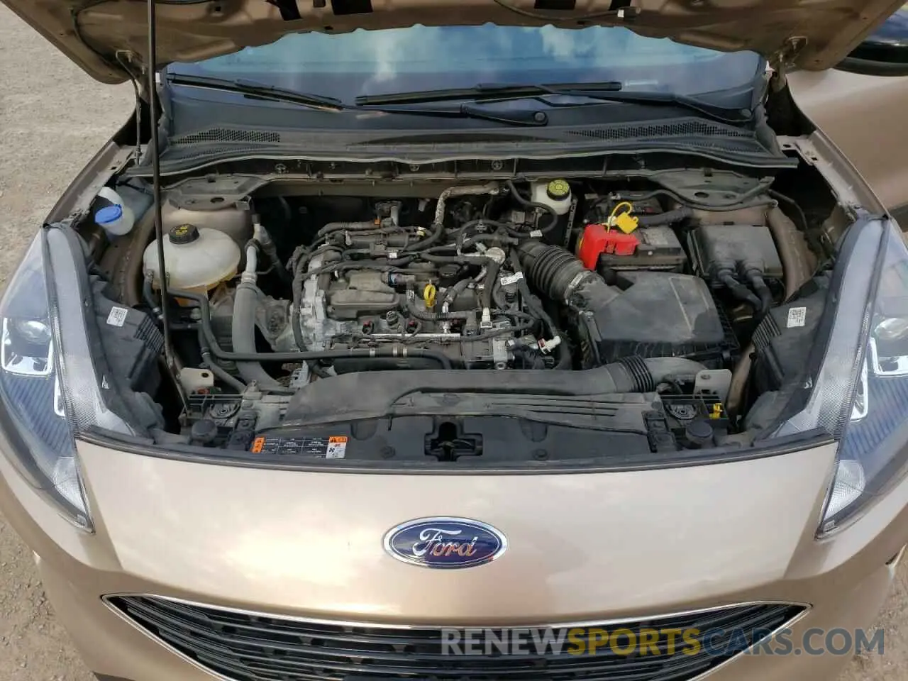 12 fotografías del automóvil dañado 1FMCU9G69MUA72731 FORD ESCAPE 2021