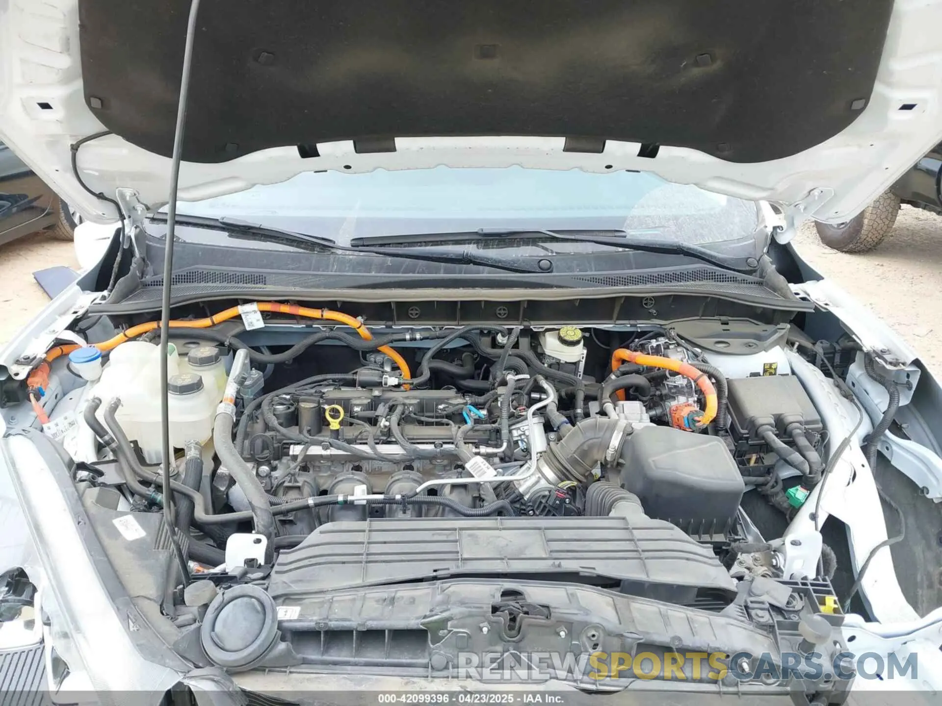 10 fotografías del automóvil dañado 1FMCU0BZ5NUA66830 FORD ESCAPE 2022