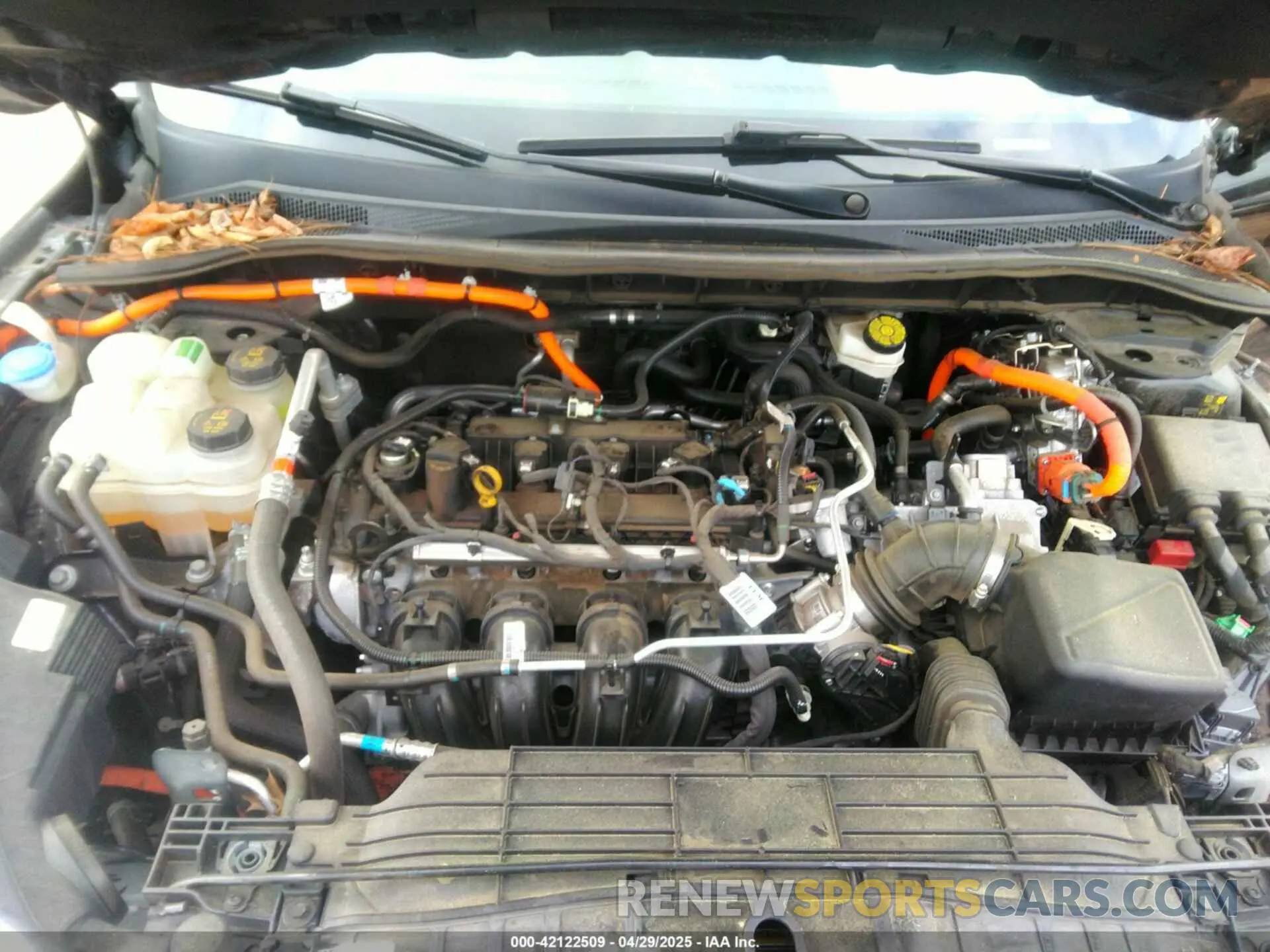 10 fotografías del automóvil dañado 1FMCU0CZ5NUB47048 FORD ESCAPE 2022