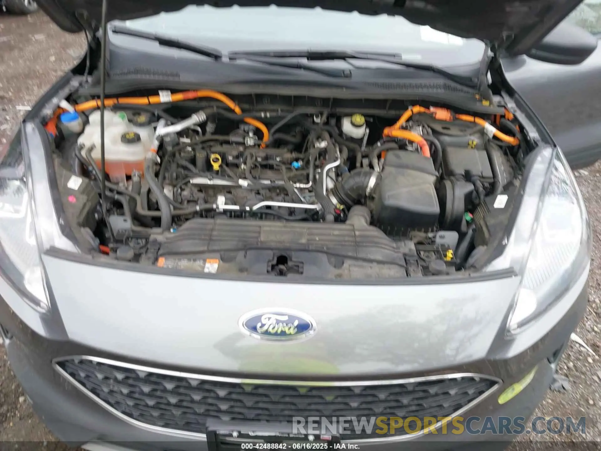 10 fotografías del automóvil dañado 1FMCU0EZ7NUA24543 FORD ESCAPE 2022