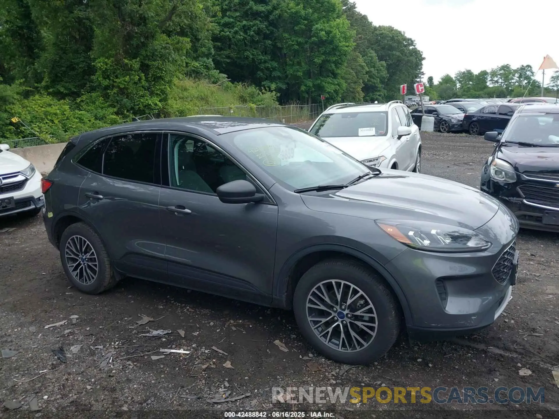 13 fotografías del automóvil dañado 1FMCU0EZ7NUA24543 FORD ESCAPE 2022