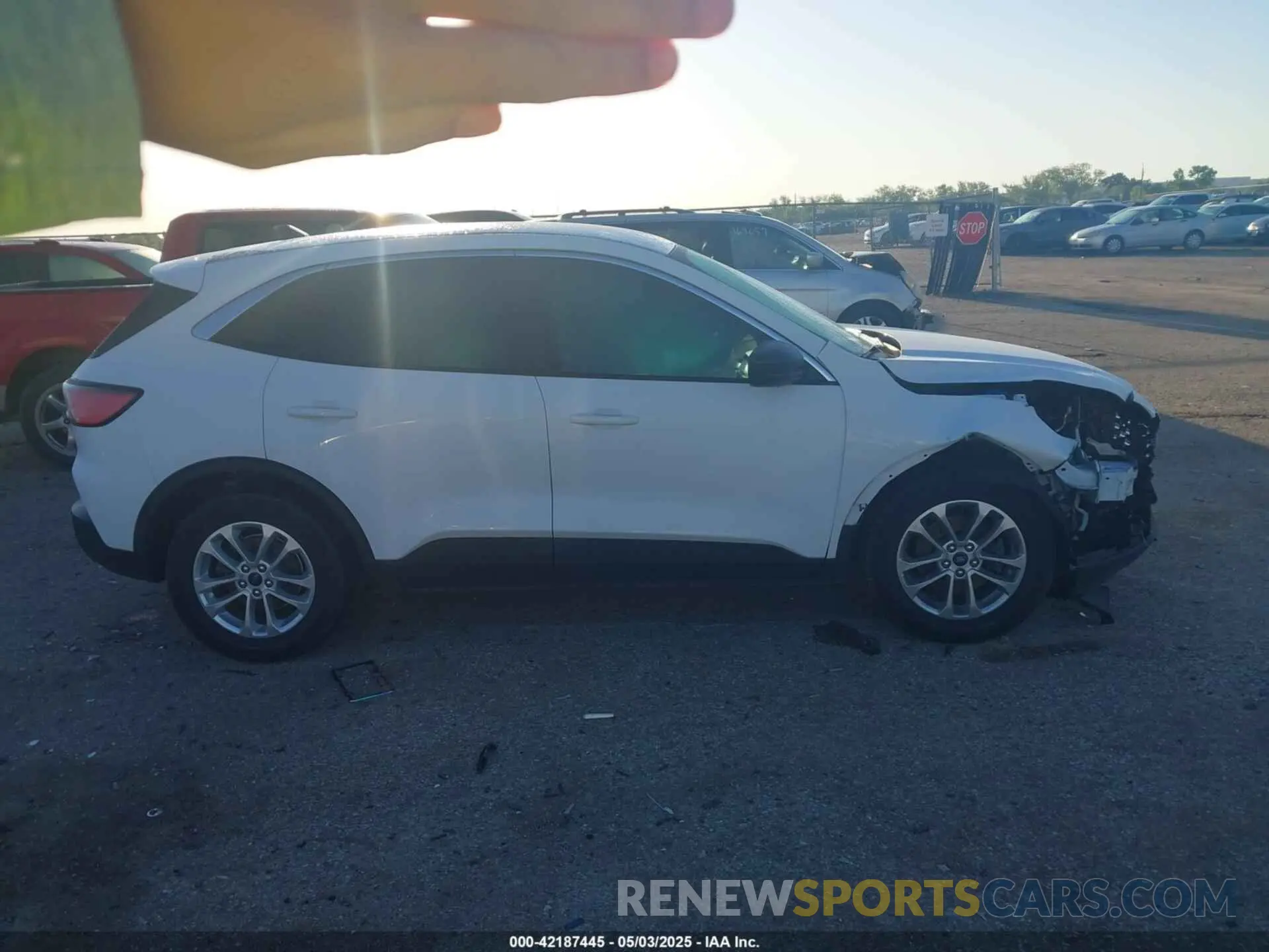 13 fotografías del automóvil dañado 1FMCU0G60NUA62683 FORD ESCAPE 2022