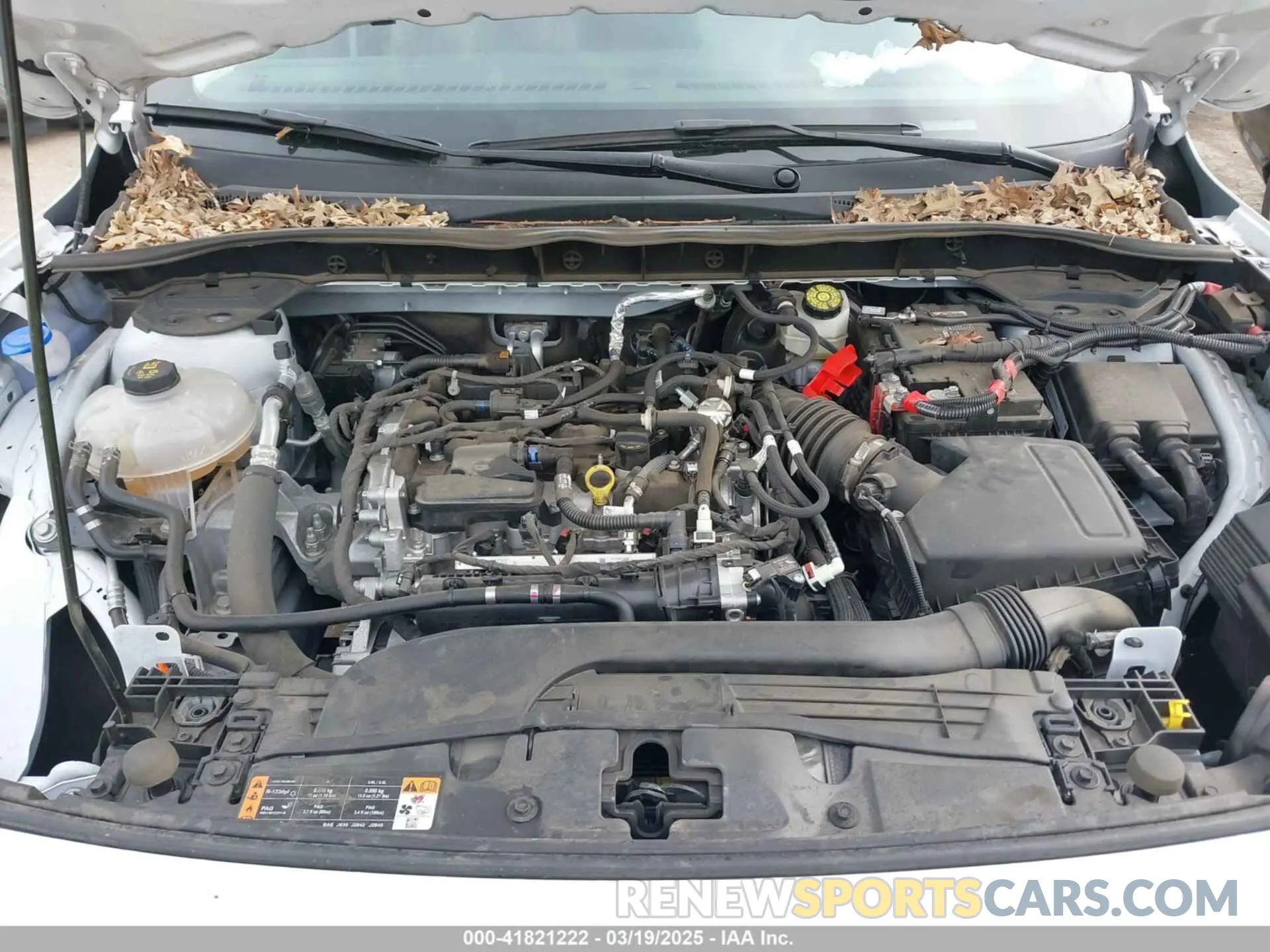 10 fotografías del automóvil dañado 1FMCU0G68NUA66965 FORD ESCAPE 2022