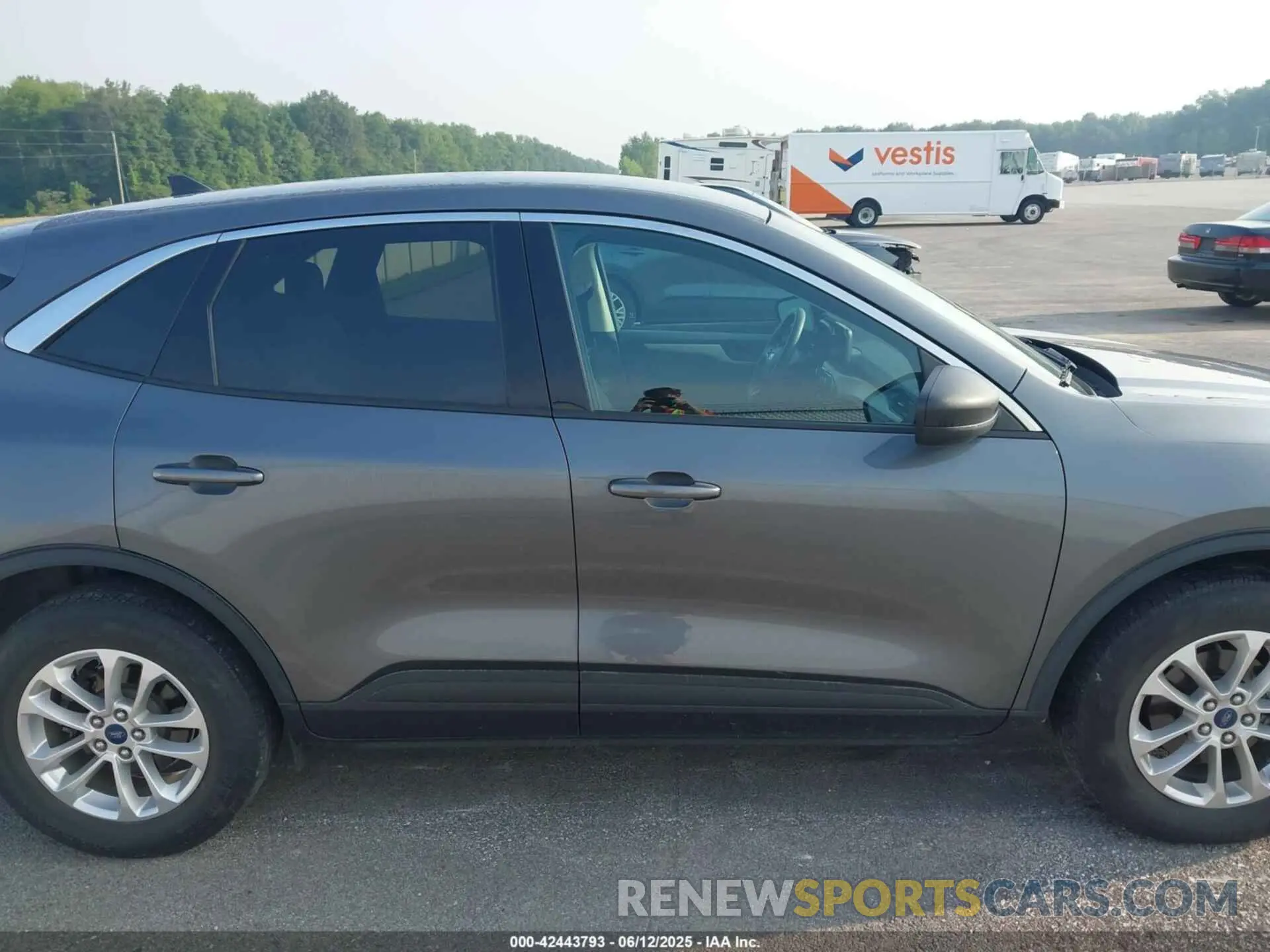 13 fotografías del automóvil dañado 1FMCU9G64NUA04516 FORD ESCAPE 2022