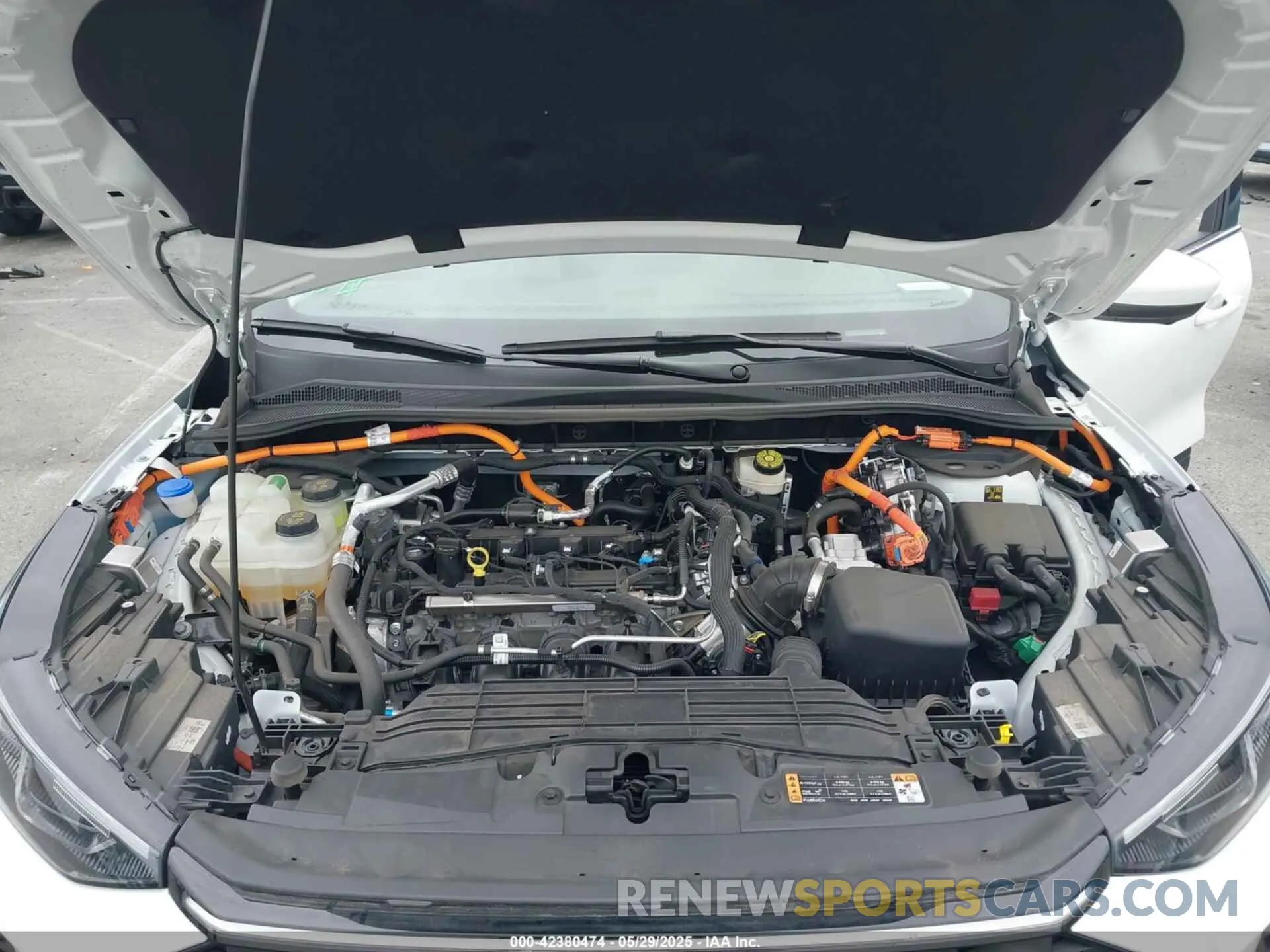 10 fotografías del automóvil dañado 1FMCU0E19PUB34796 FORD ESCAPE 2023