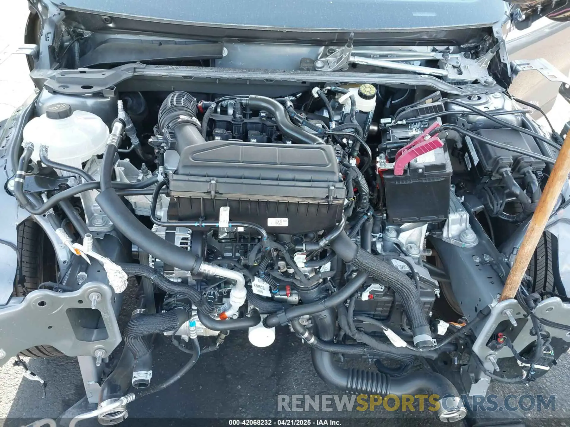 10 fotografías del automóvil dañado 1FMCU0GN1RUB03237 FORD ESCAPE 2024