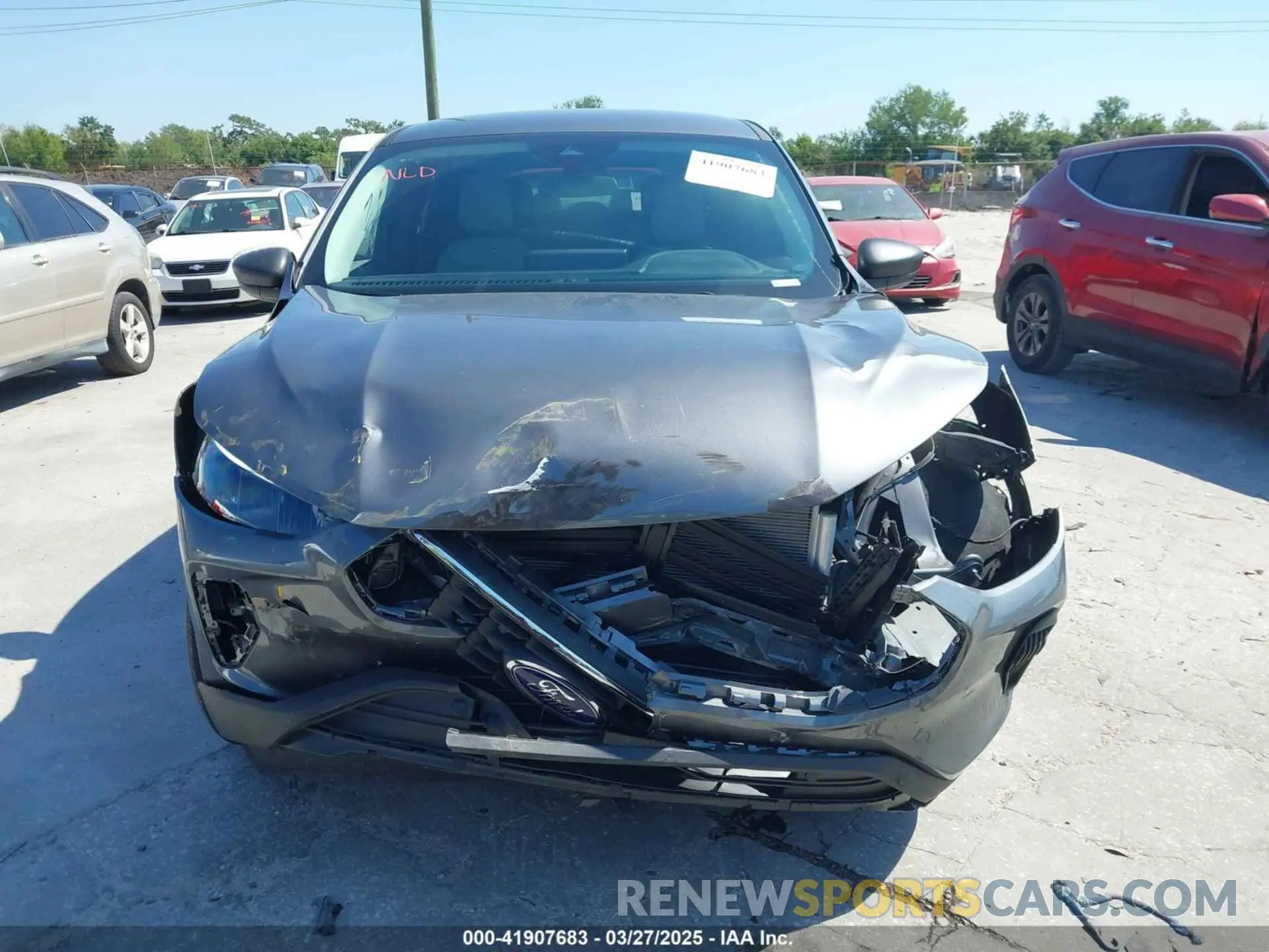 12 fotografías del automóvil dañado 1FMCU0GN1RUB28672 FORD ESCAPE 2024
