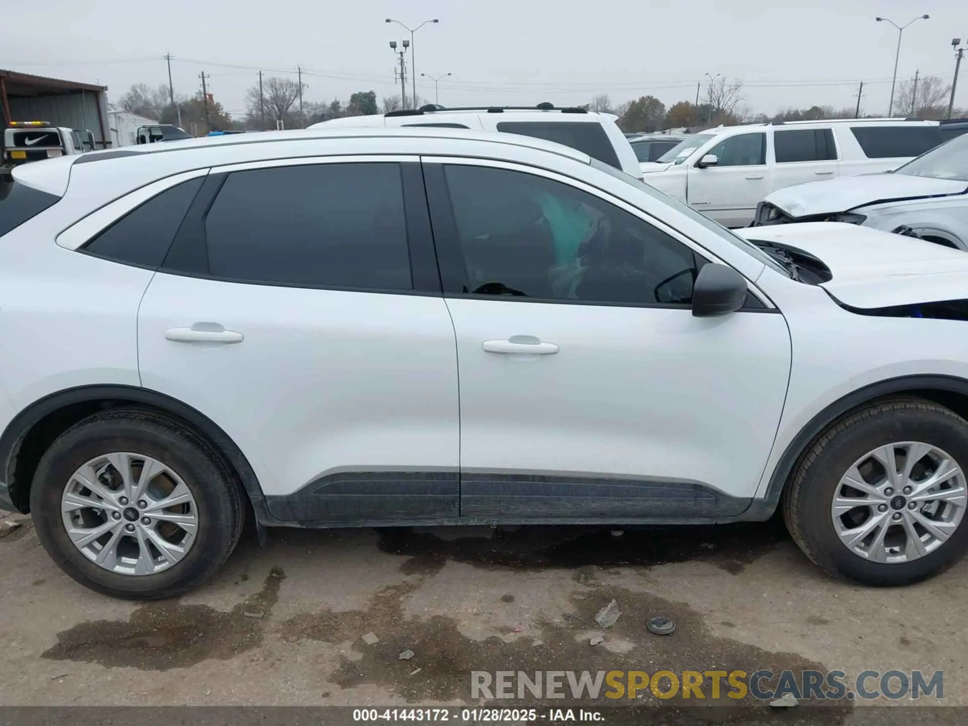 13 fotografías del automóvil dañado 1FMCU0GN1RUB51496 FORD ESCAPE 2024