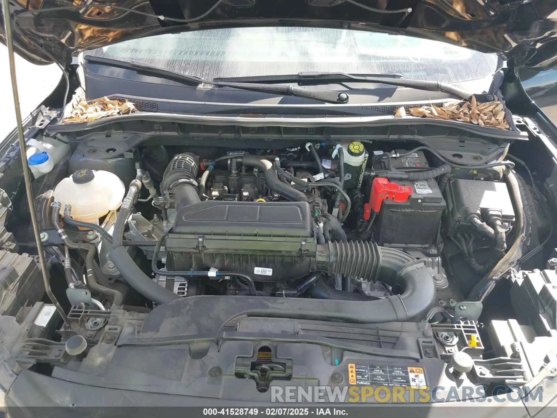 10 fotografías del automóvil dañado 1FMCU0GN2RUA60575 FORD ESCAPE 2024