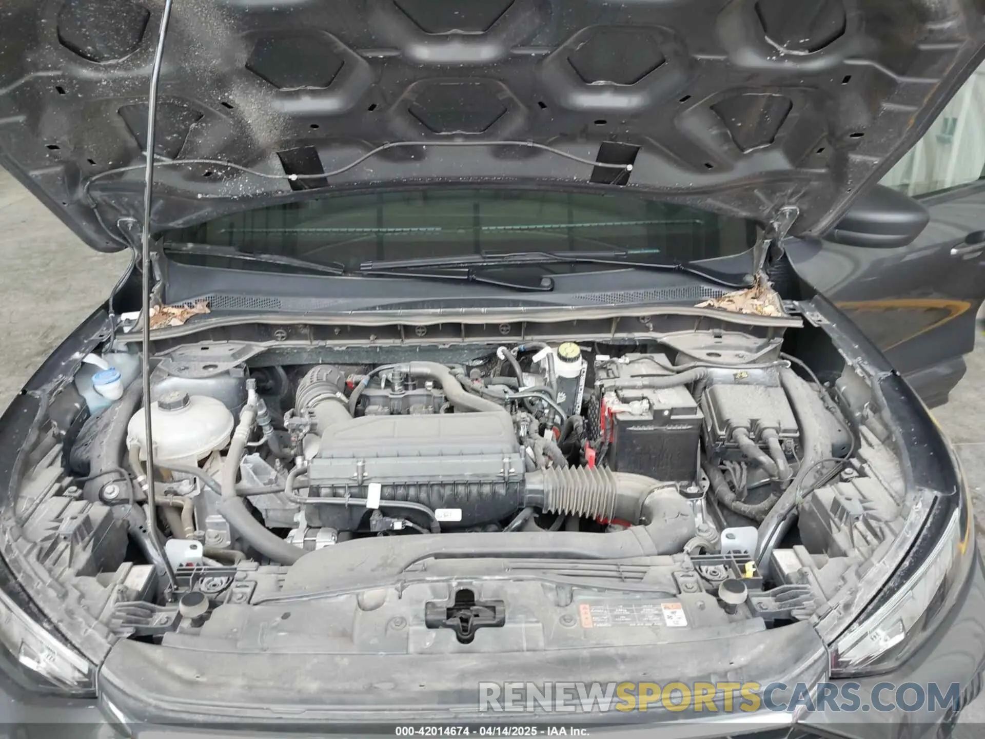 10 fotografías del automóvil dañado 1FMCU0MN1RUA03532 FORD ESCAPE 2024