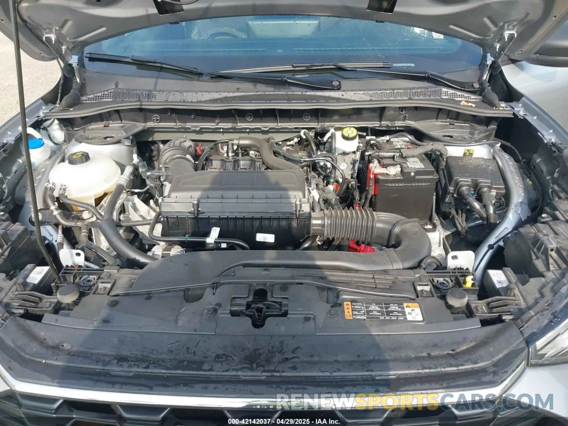 10 fotografías del automóvil dañado 1FMCU0MNXRUB43384 FORD ESCAPE 2024