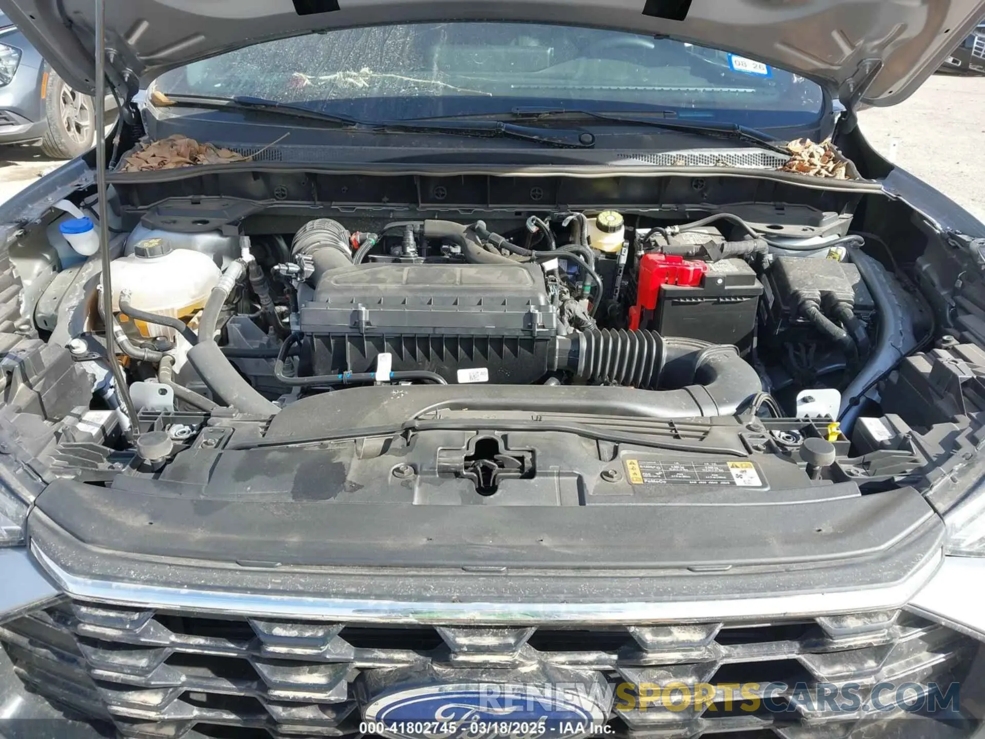 10 fotografías del automóvil dañado 1FMCU0MNXRUB57821 FORD ESCAPE 2024