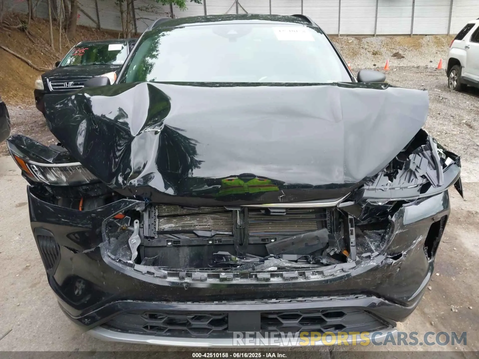 12 fotografías del automóvil dañado 1FMCU0MZ1RUB18294 FORD ESCAPE 2024