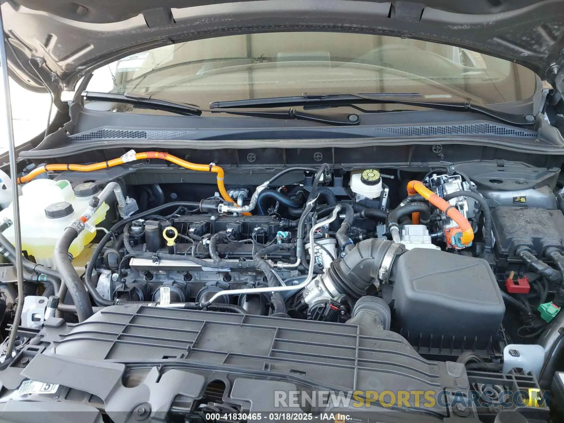 10 fotografías del automóvil dañado 1FMCU0MZ7RUA96544 FORD ESCAPE 2024