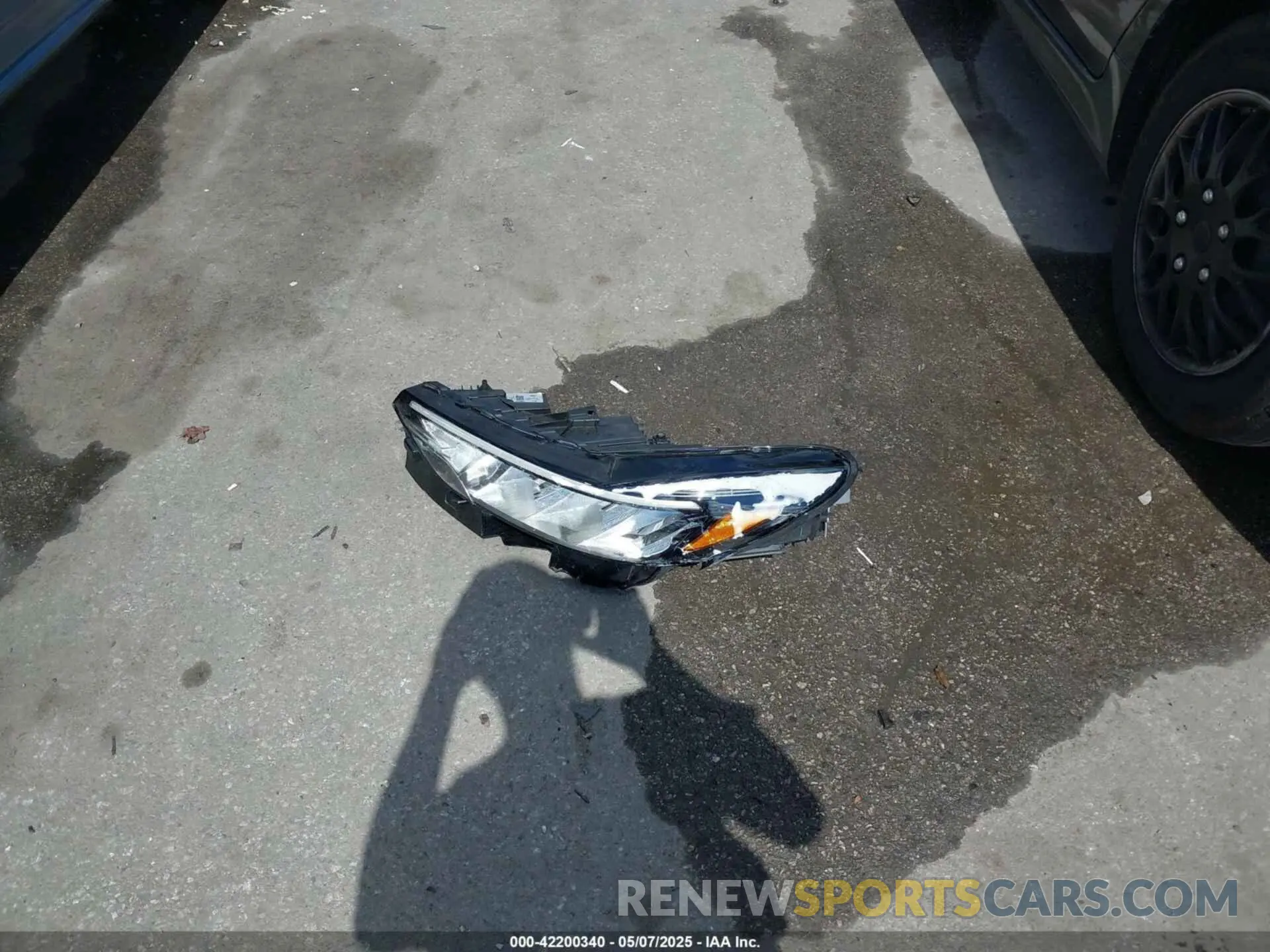 12 fotografías del automóvil dañado 1FMCU9MN9RUA50375 FORD ESCAPE 2024