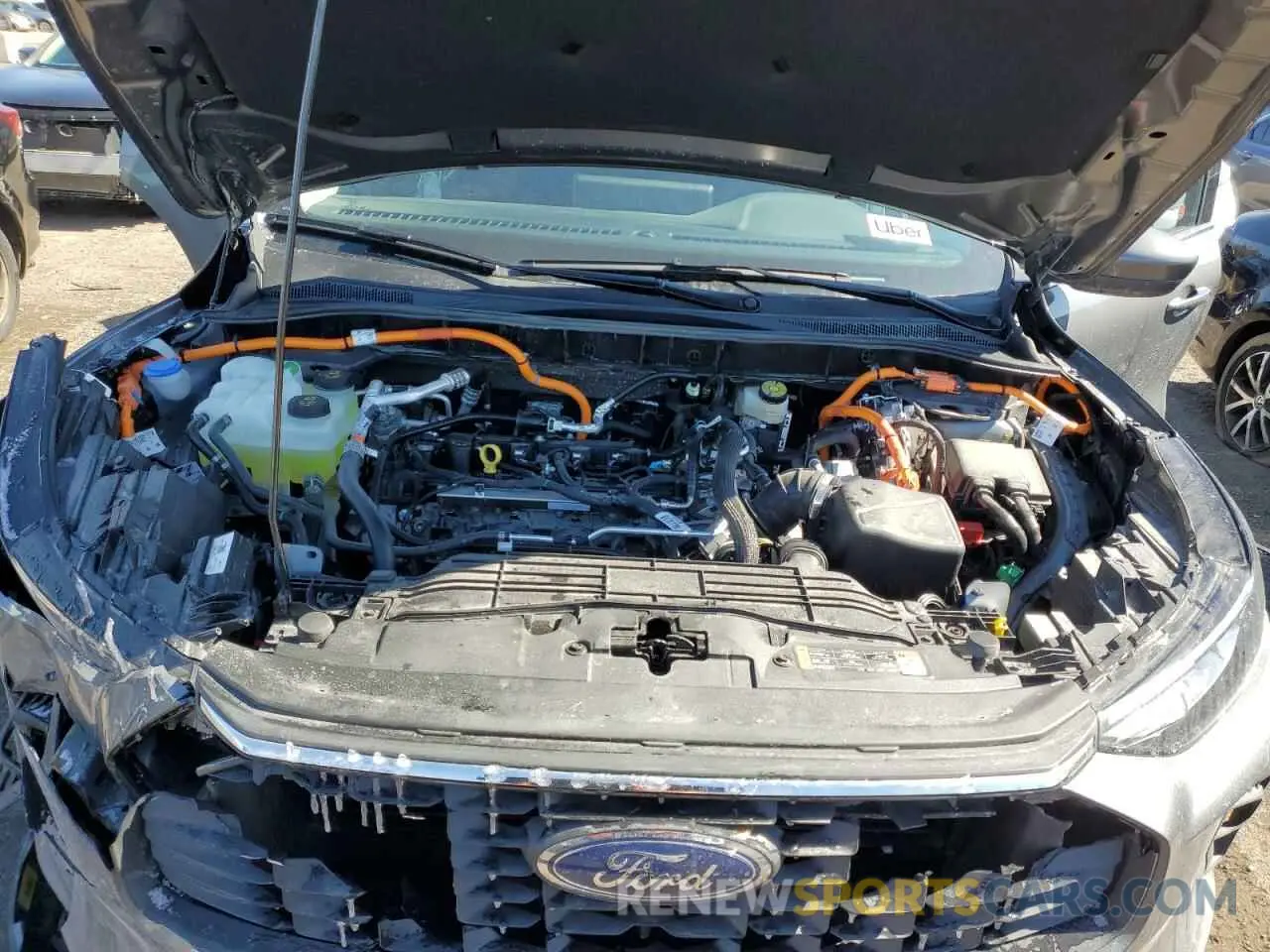 12 fotografías del automóvil dañado 1FMCU0E12SUA38906 FORD ESCAPE 2025