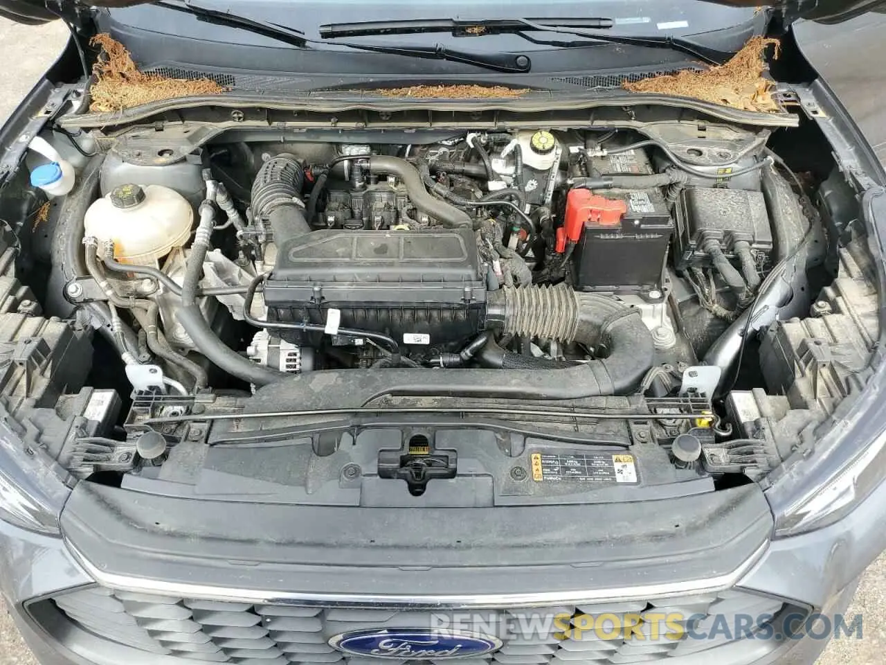 11 fotografías del automóvil dañado 1FMCU0GN0PUA69031 FORD ESCAPE ACT 2023