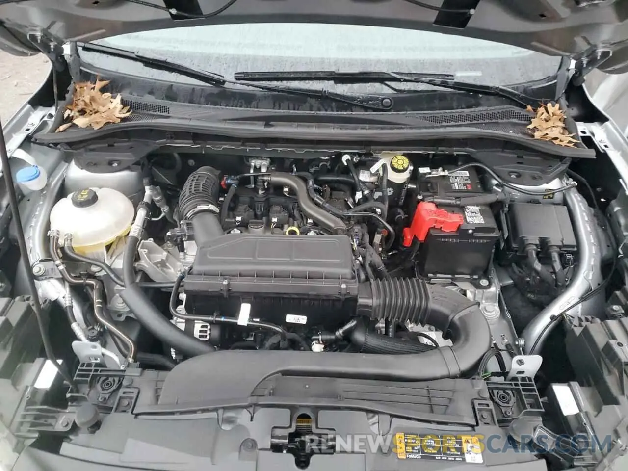 12 fotografías del automóvil dañado 1FMCU0GN1RUB06283 FORD ESCAPE ACT 2024