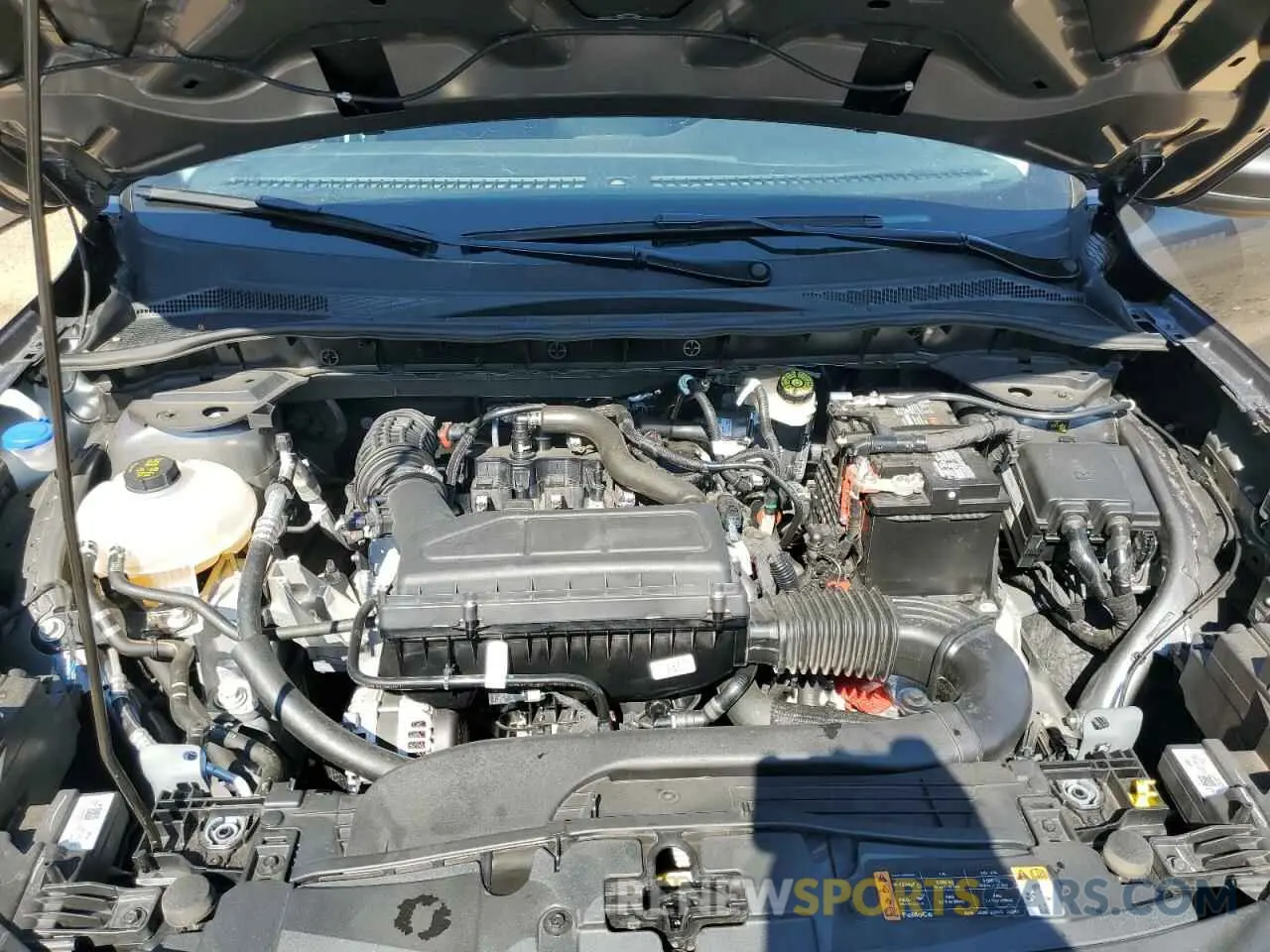 12 fotografías del automóvil dañado 1FMCU0GN6RUB13634 FORD ESCAPE ACT 2024
