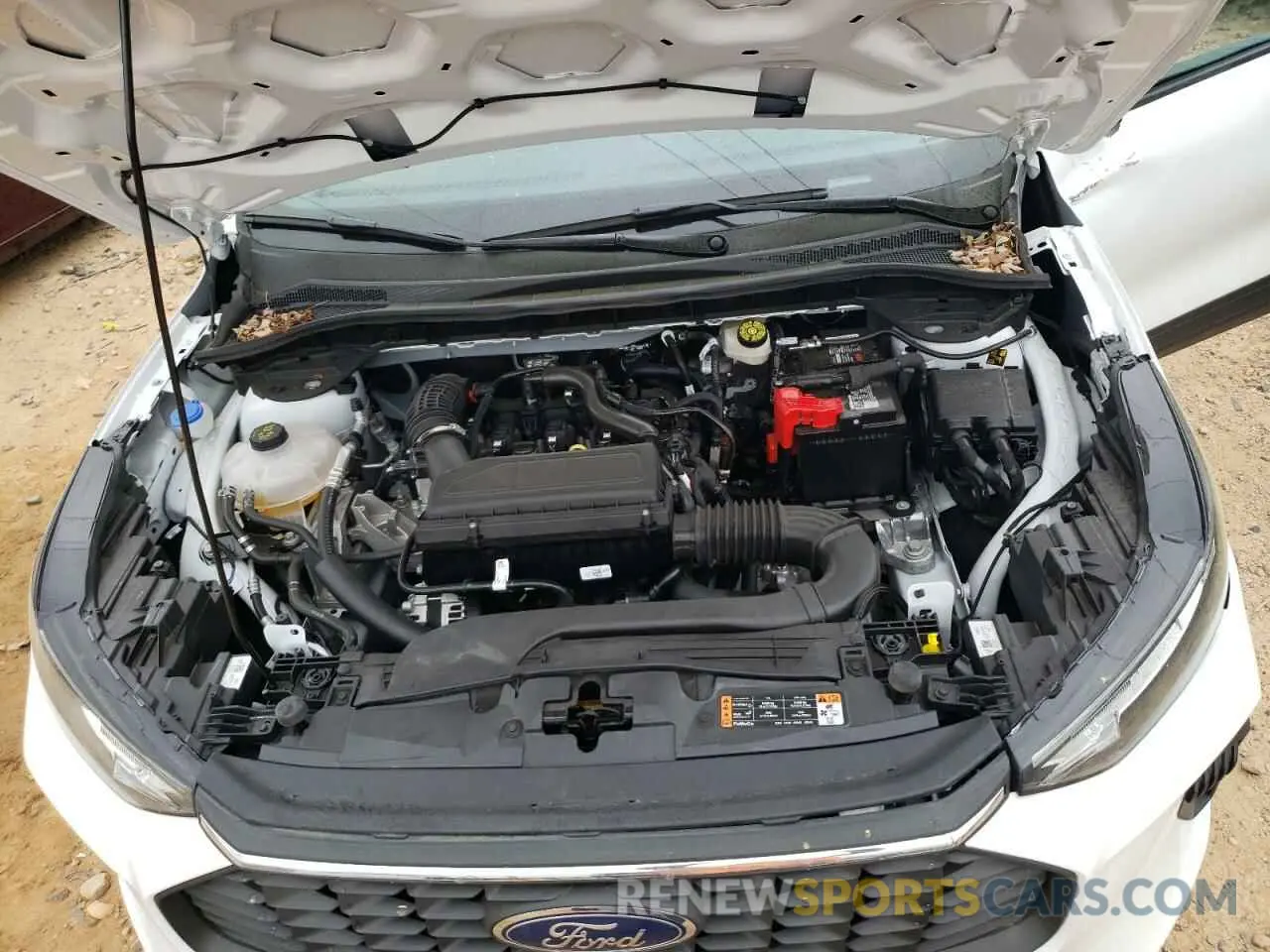 14 fotografías del automóvil dañado 1FMCU0GNXRUB43834 FORD ESCAPE ACT 2024