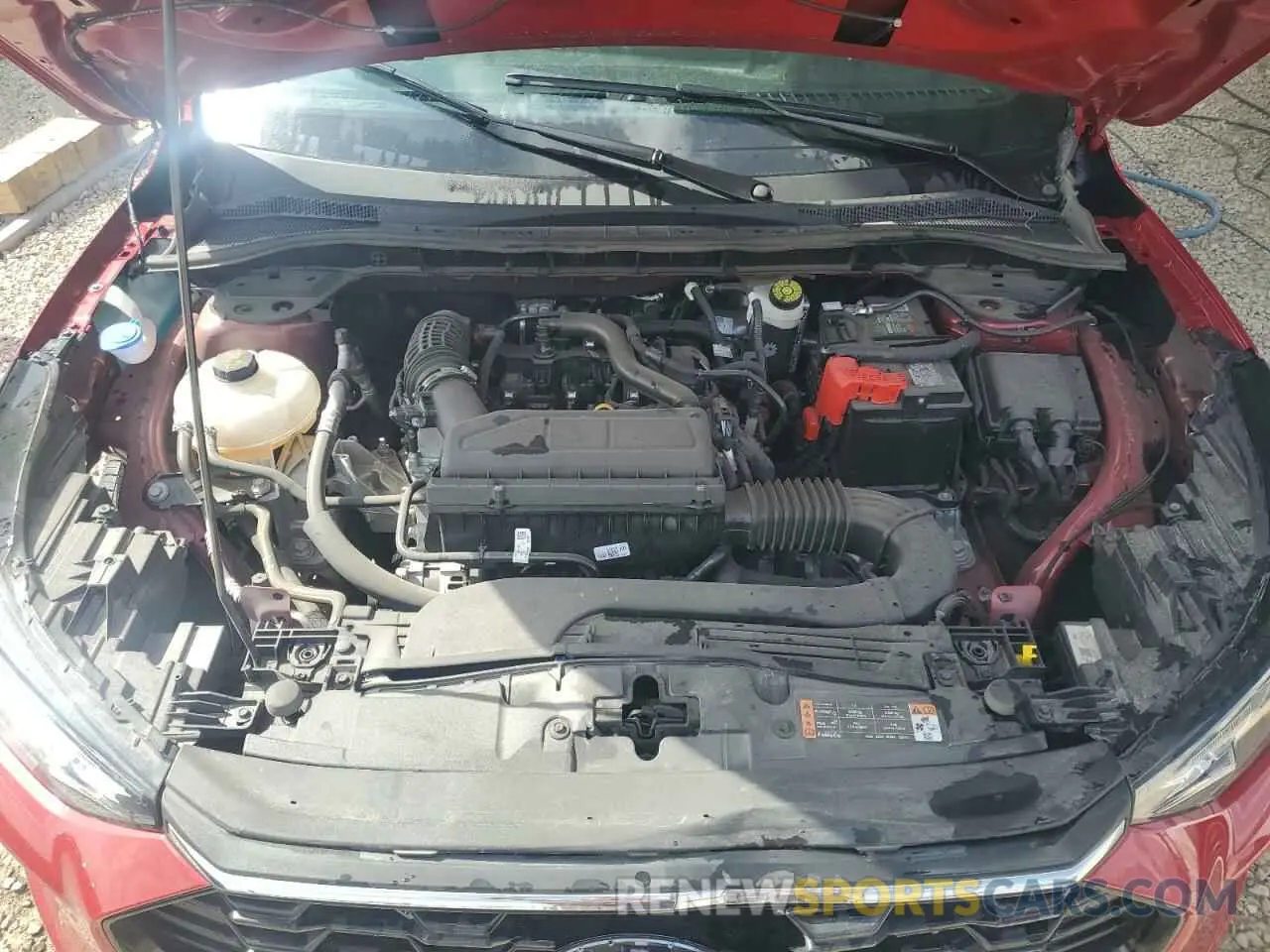 12 fotografías del automóvil dañado 1FMCU0MN4RUA41823 FORD ESCAPE ST 2024