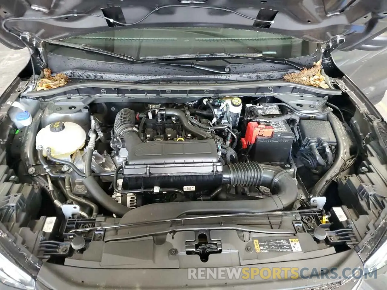 11 fotografías del automóvil dañado 1FMCU0MN5SUA63805 FORD ESCAPE ST 2025
