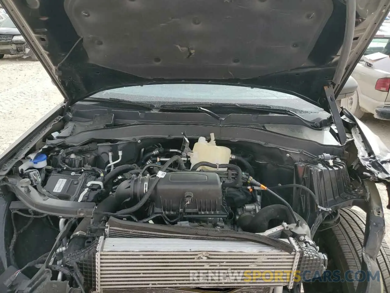 12 fotografías del automóvil dañado 1FMSK8DH0NGB62870 FORD EXPLORER 2022
