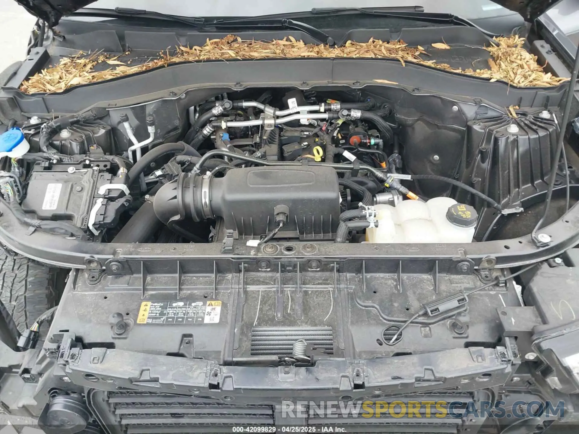 10 fotografías del automóvil dañado 1FMSK8DH6PGB42738 FORD EXPLORER 2023