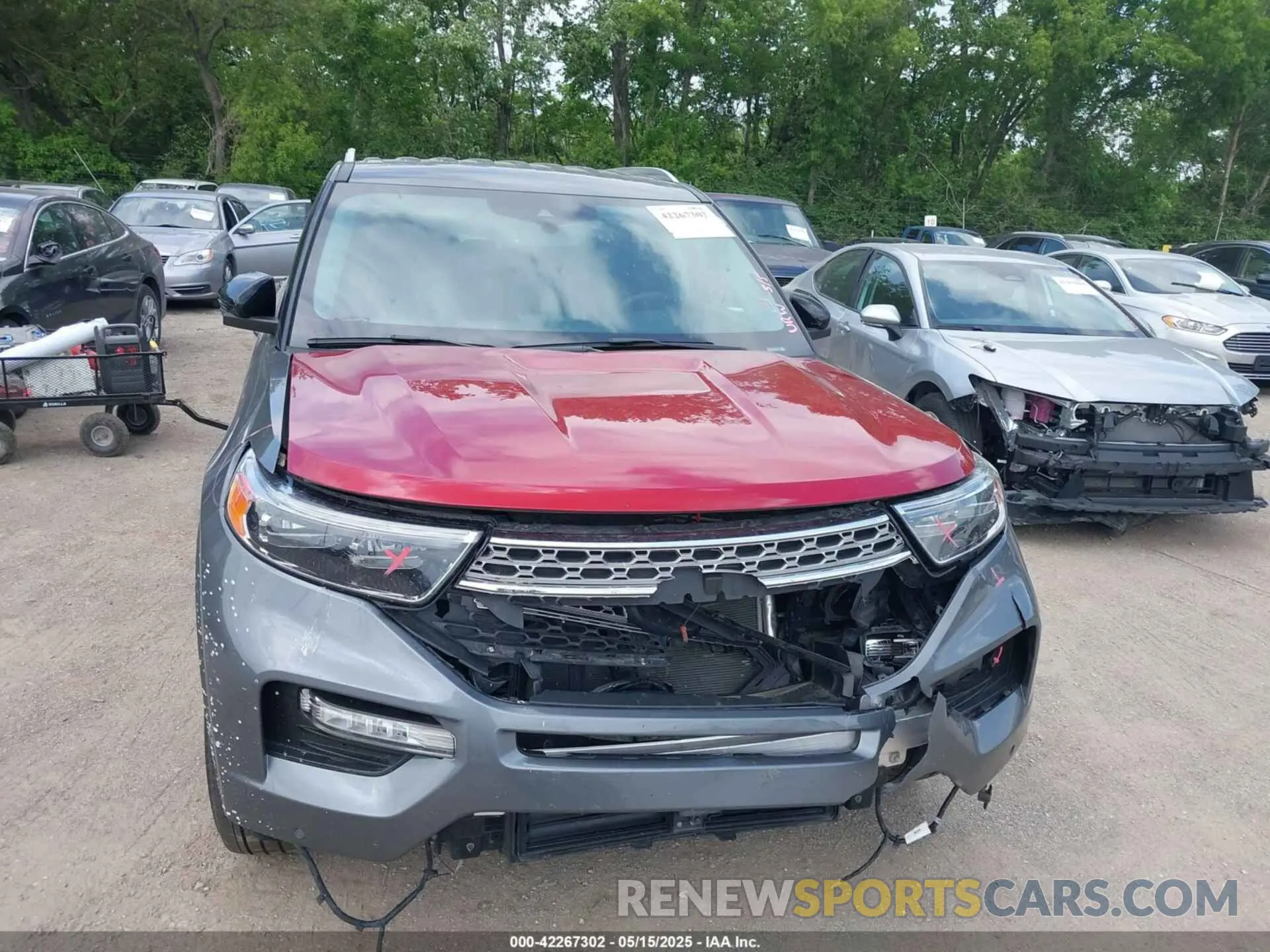 12 fotografías del automóvil dañado 1FMSK7FH6RGA02747 FORD EXPLORER 2024