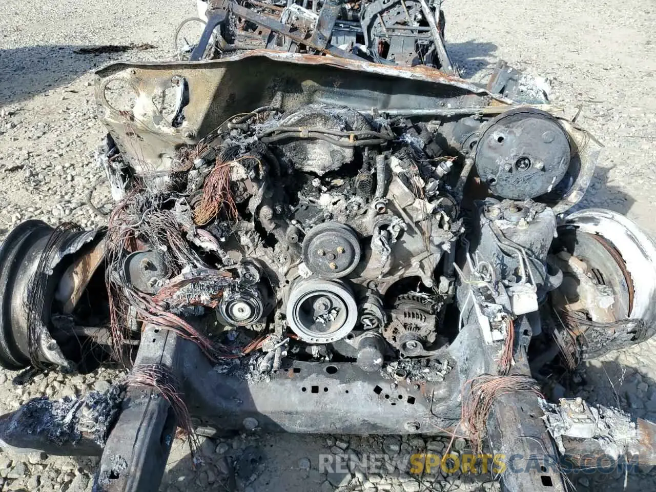 11 fotografías del automóvil dañado 1FTEW1C52KKF08169 FORD F-150 2019