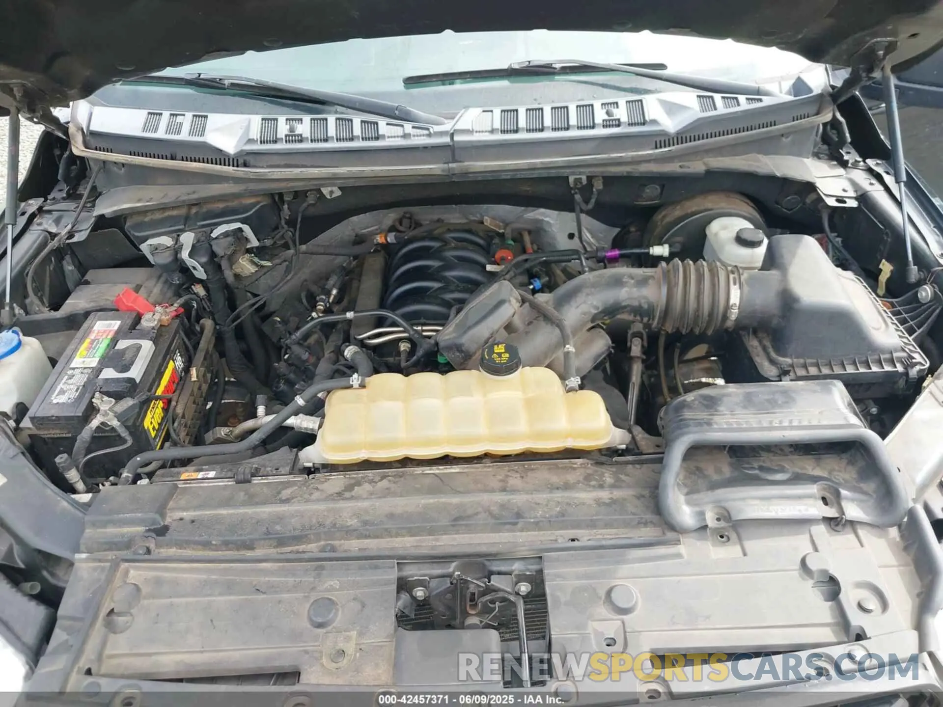10 fotografías del automóvil dañado 1FTEW1C55KFB18644 FORD F-150 2019