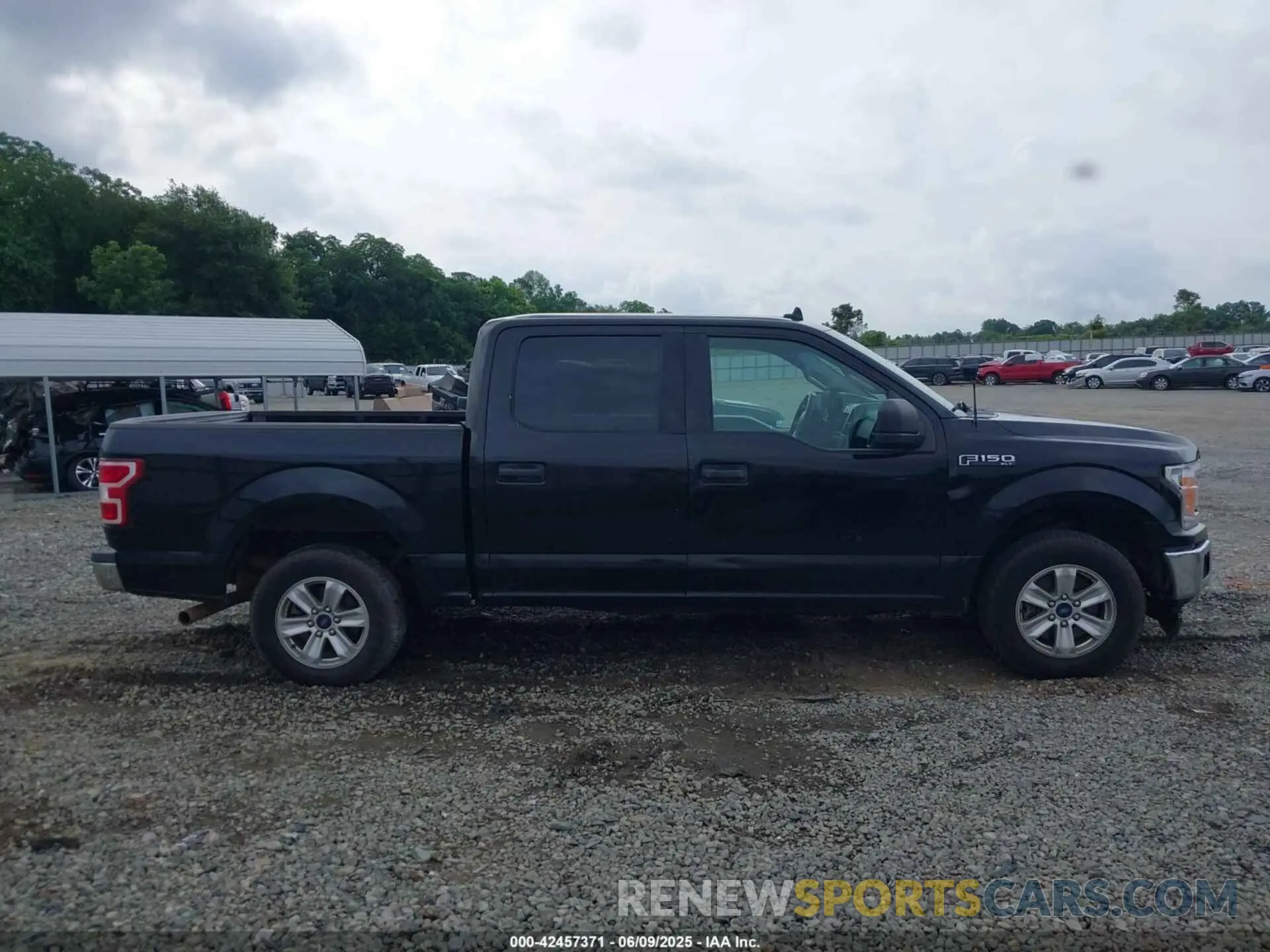13 fotografías del automóvil dañado 1FTEW1C55KFB18644 FORD F-150 2019