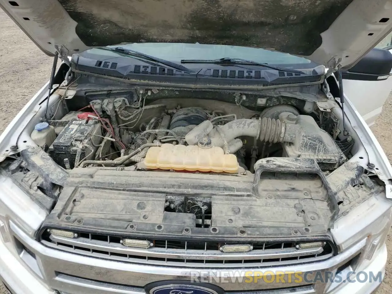 11 fotografías del automóvil dañado 1FTEW1C56KFA68465 FORD F-150 2019