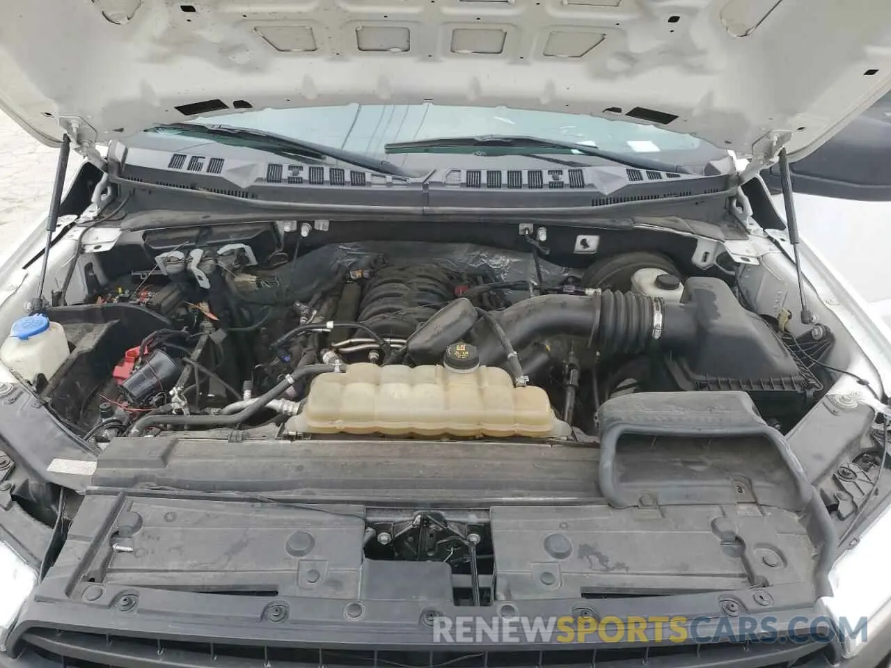 11 fotografías del automóvil dañado 1FTEW1C56KKC61058 FORD F-150 2019