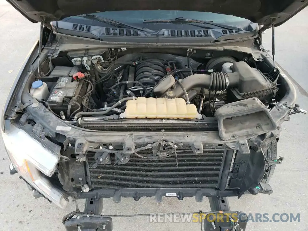 11 fotografías del automóvil dañado 1FTEW1C56KKE59168 FORD F-150 2019