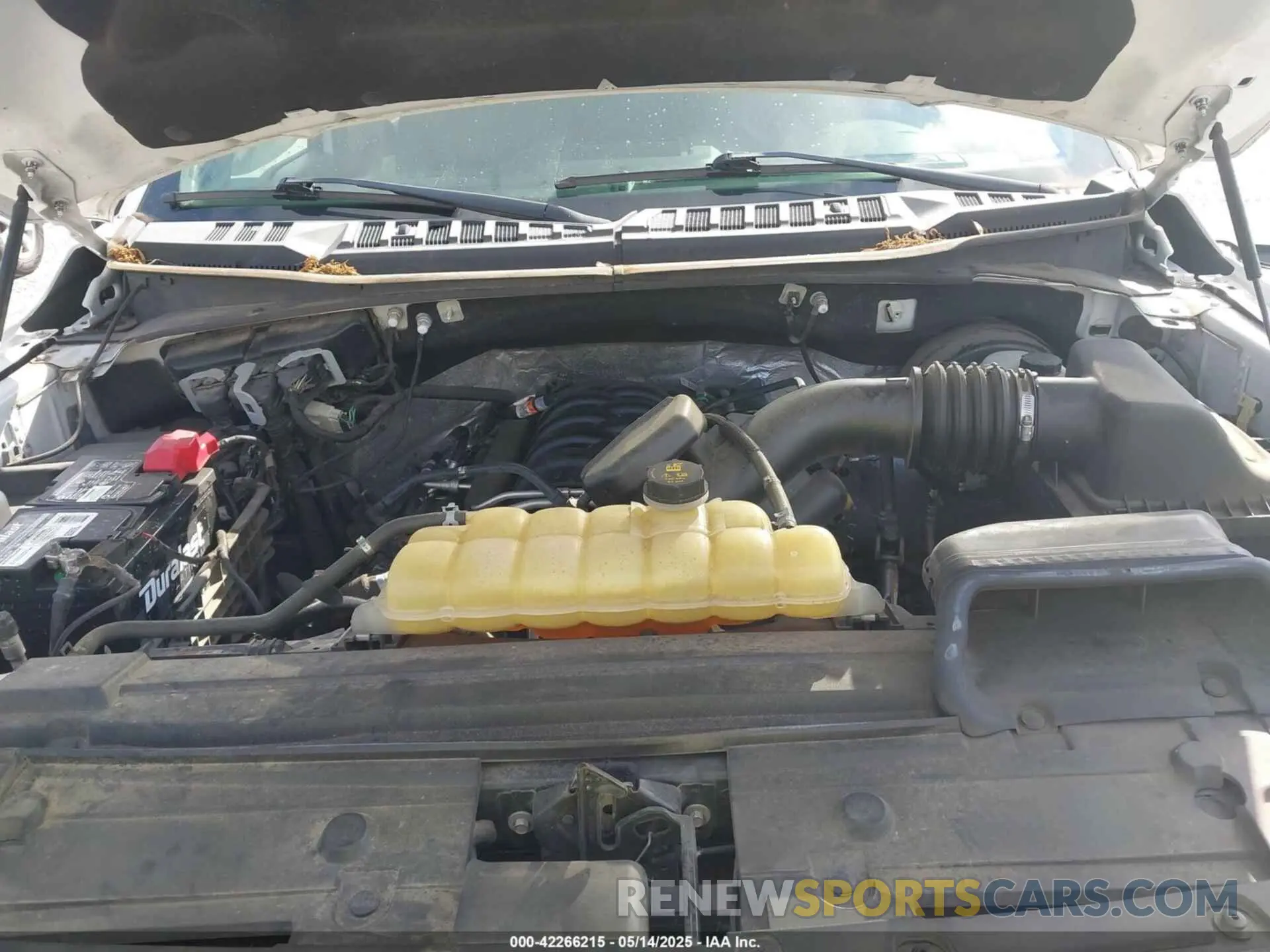 10 fotografías del automóvil dañado 1FTEW1C57KKC89807 FORD F-150 2019