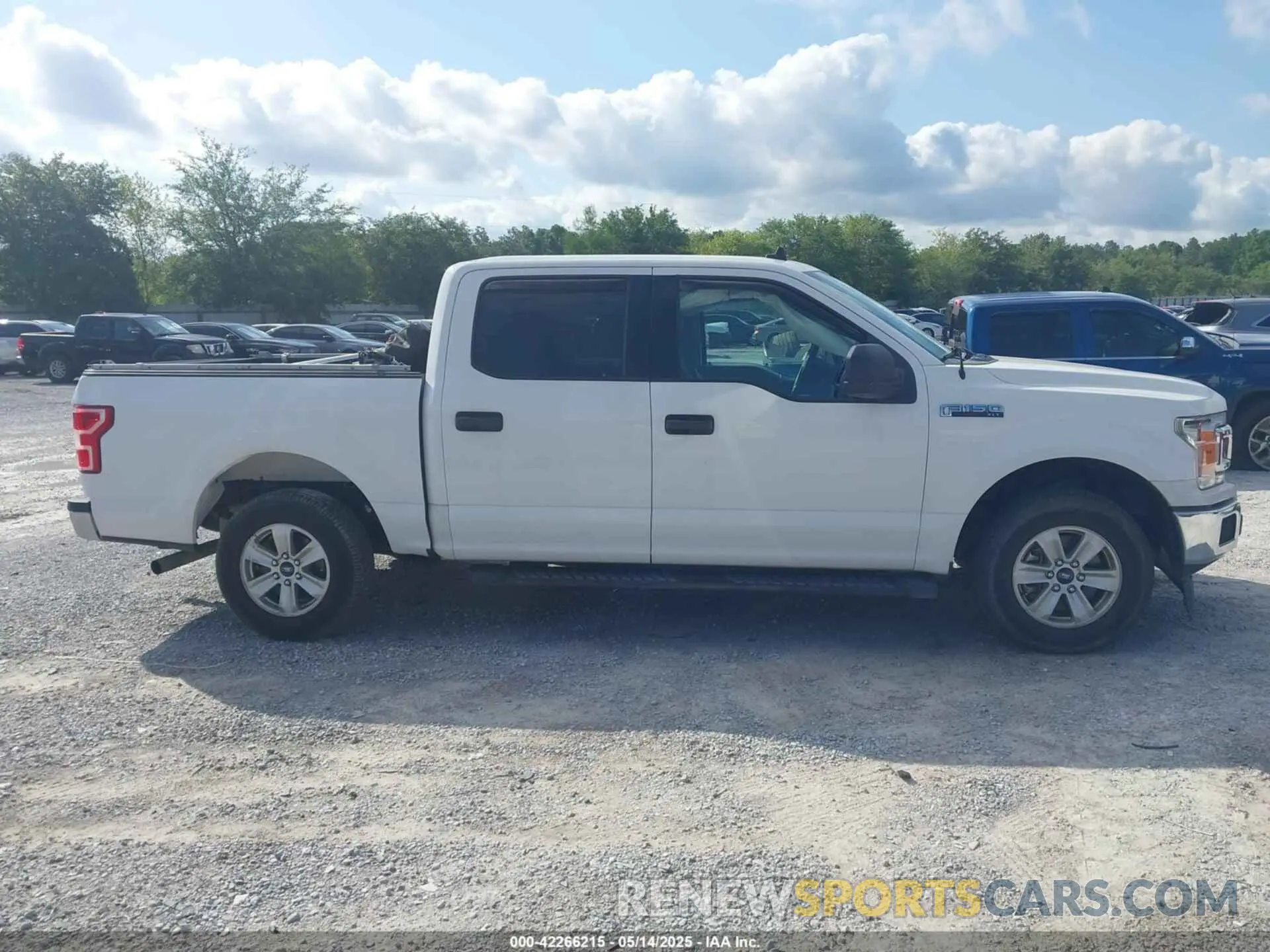 13 fotografías del automóvil dañado 1FTEW1C57KKC89807 FORD F-150 2019