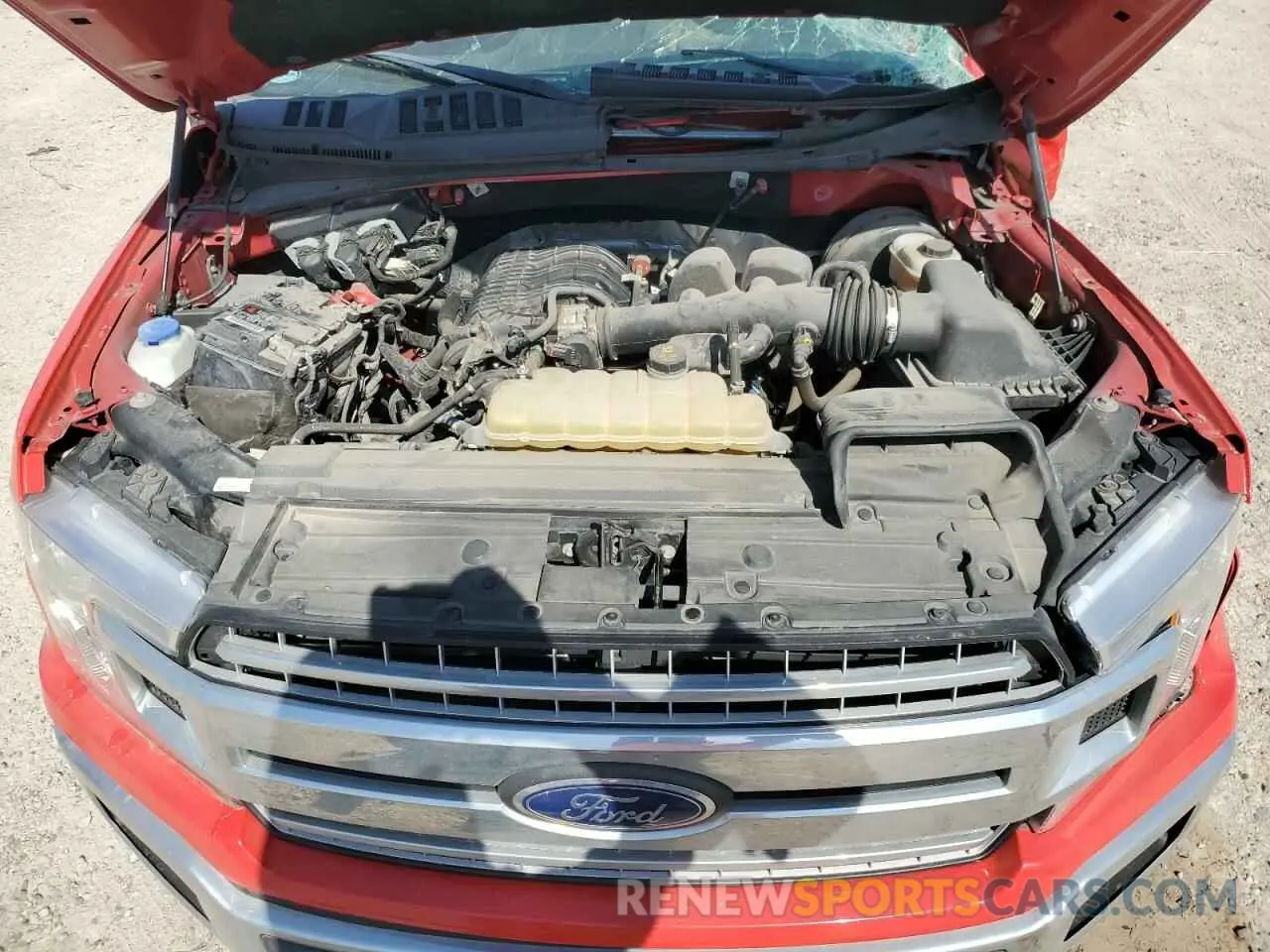 12 fotografías del automóvil dañado 1FTEW1CB0KKE24115 FORD F-150 2019