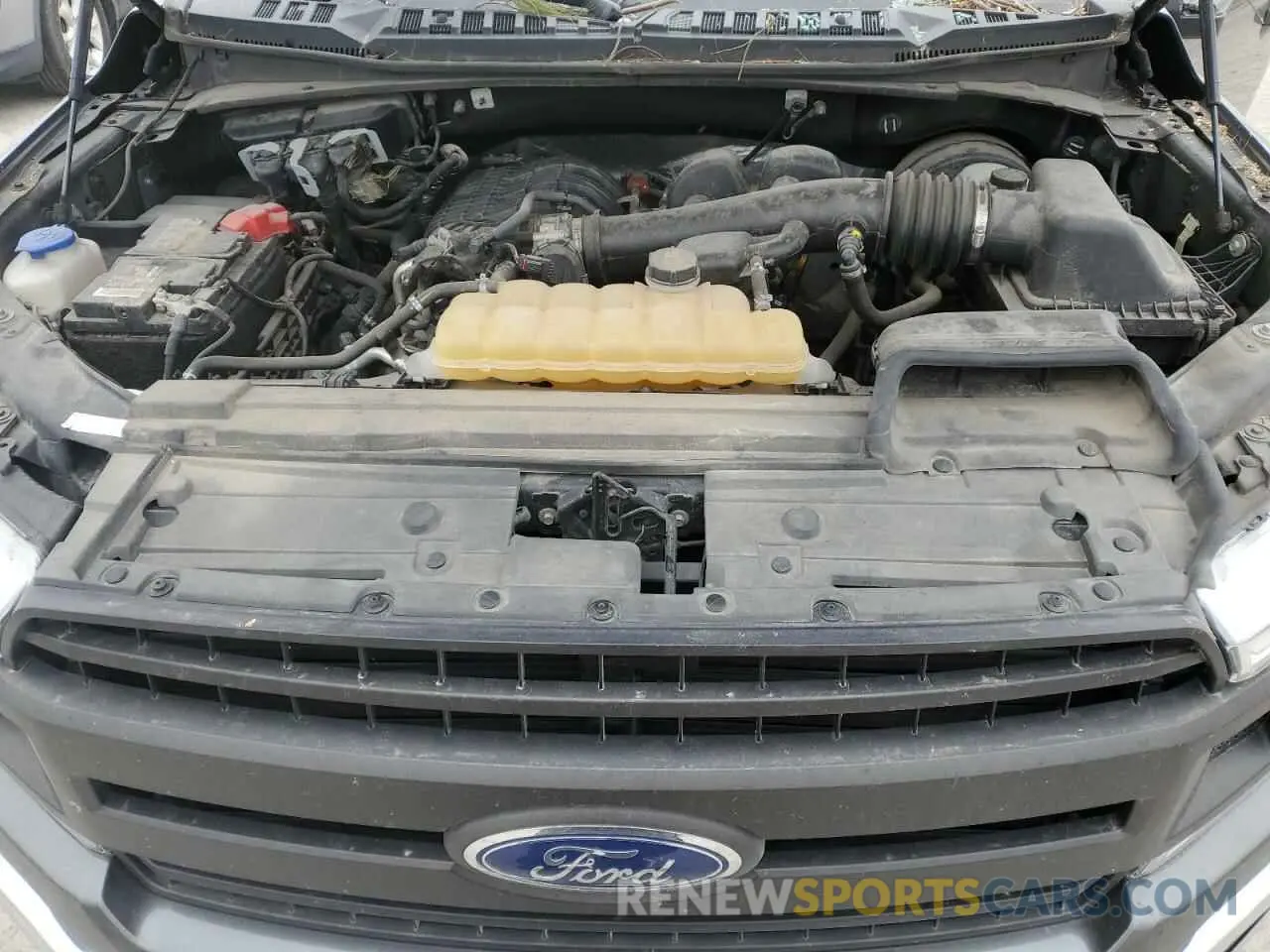 11 fotografías del automóvil dañado 1FTEW1CB4KKE45601 FORD F-150 2019
